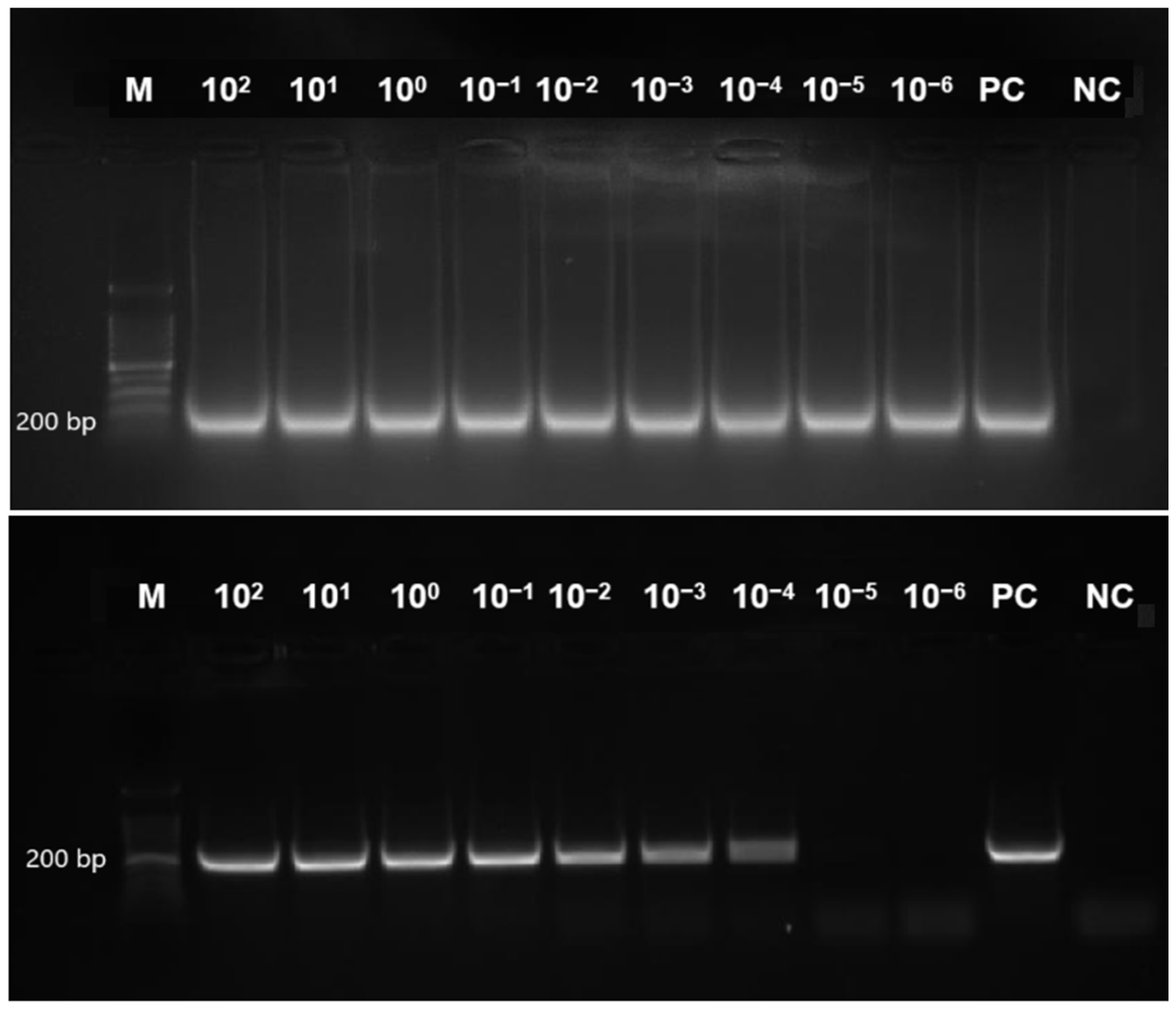 Diagnostics 15 01213 g005