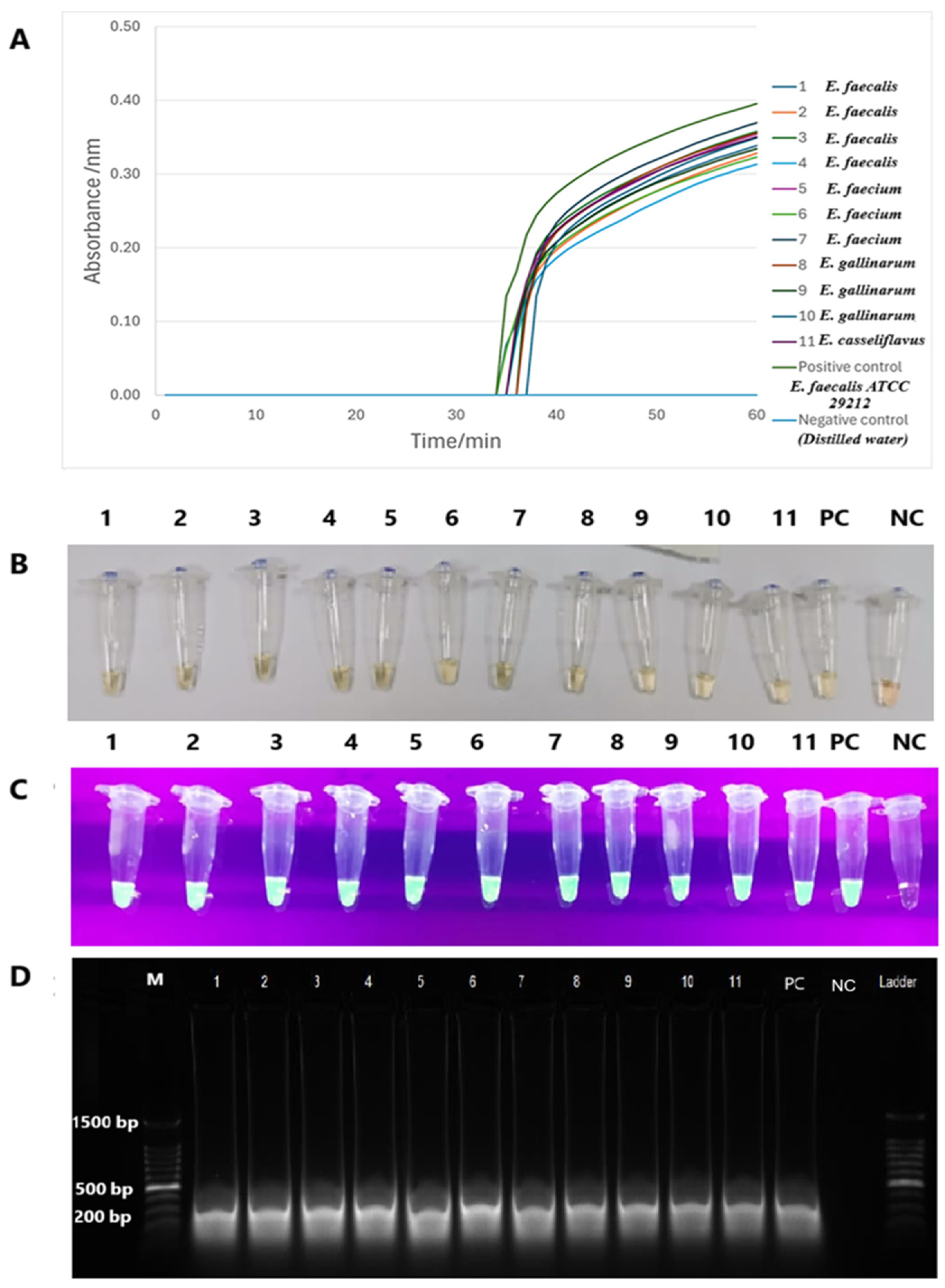 Diagnostics 15 01213 g006