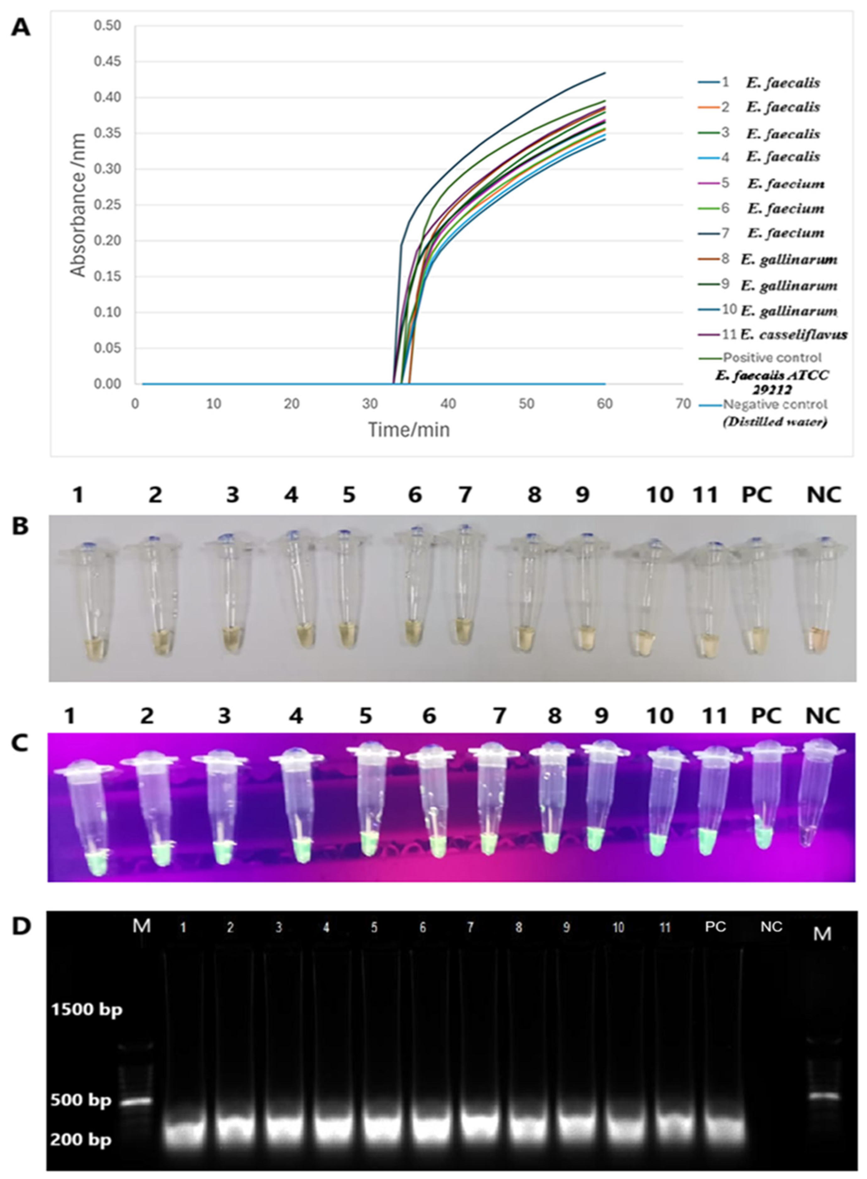 Diagnostics 15 01213 g007