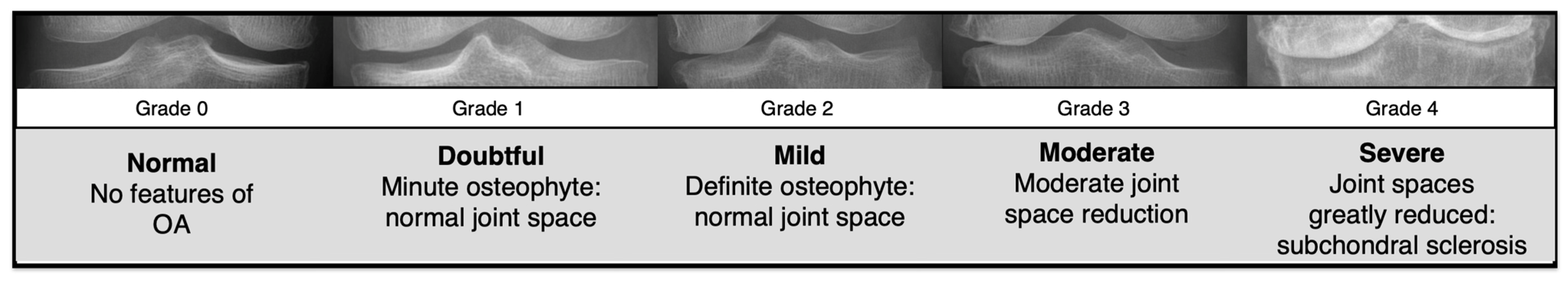 Diagnostics 15 01220 g001