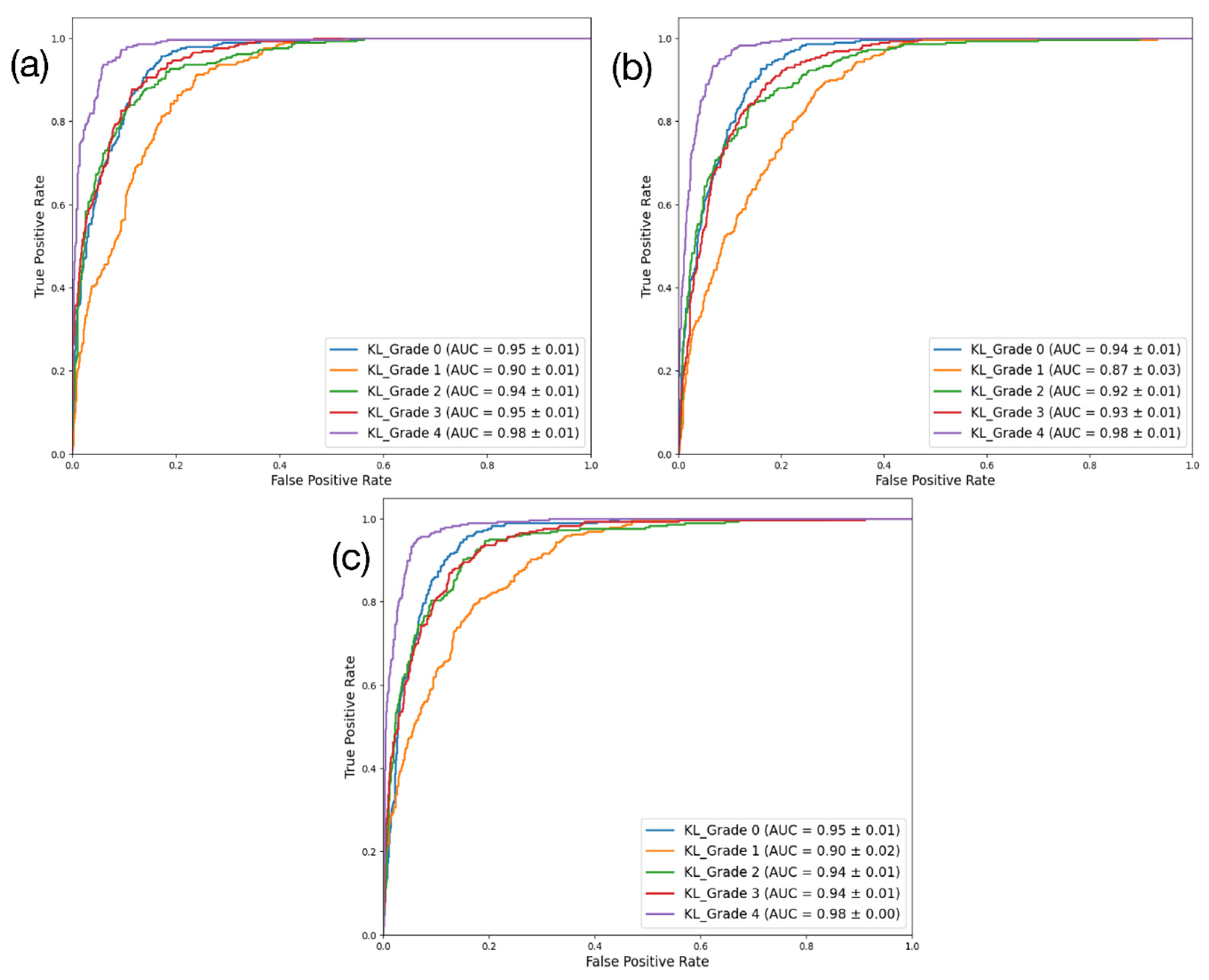 Diagnostics 15 01220 g005