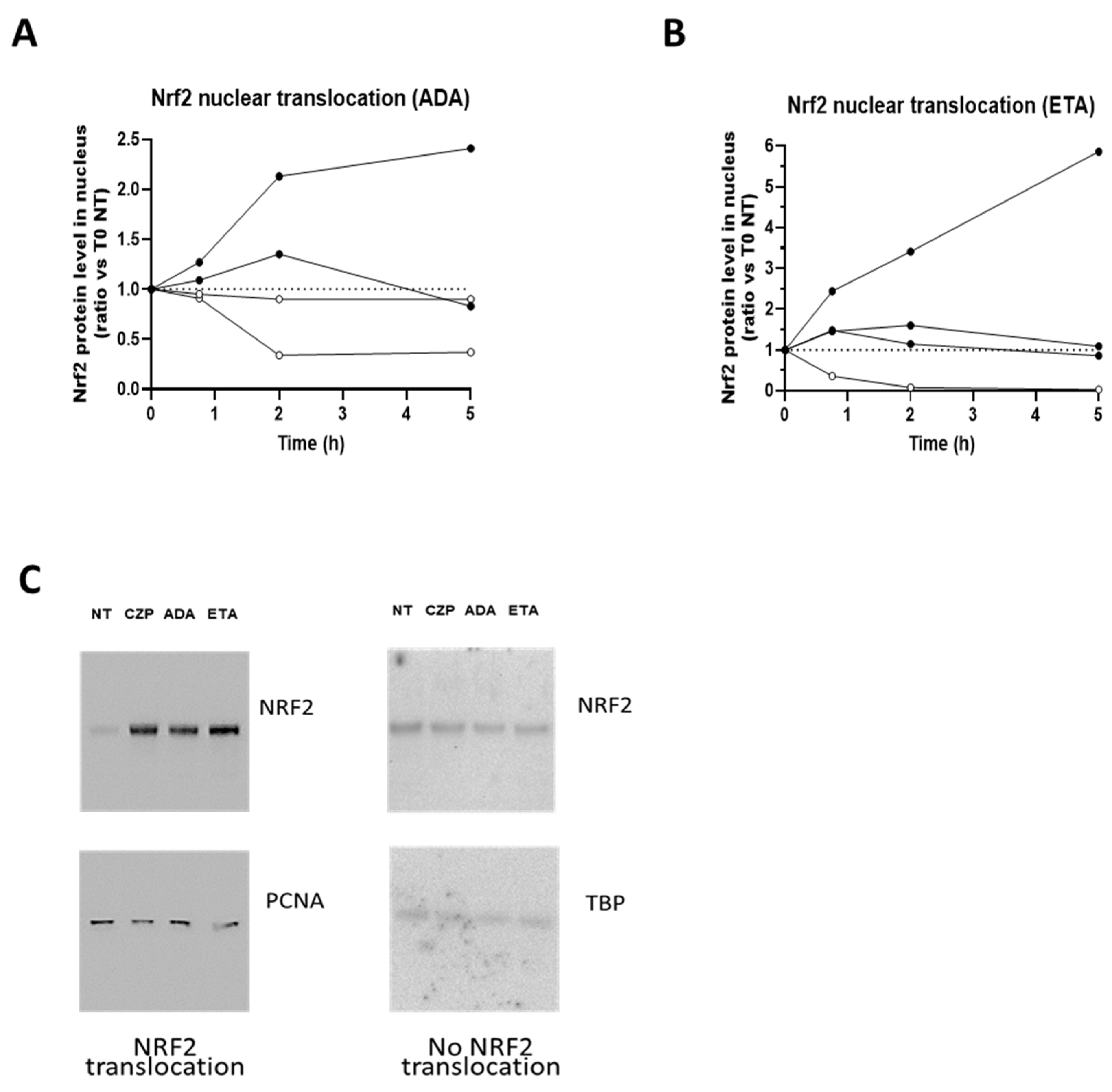 Diagnostics 15 01232 g001 Diagnostics 15 01232 g001