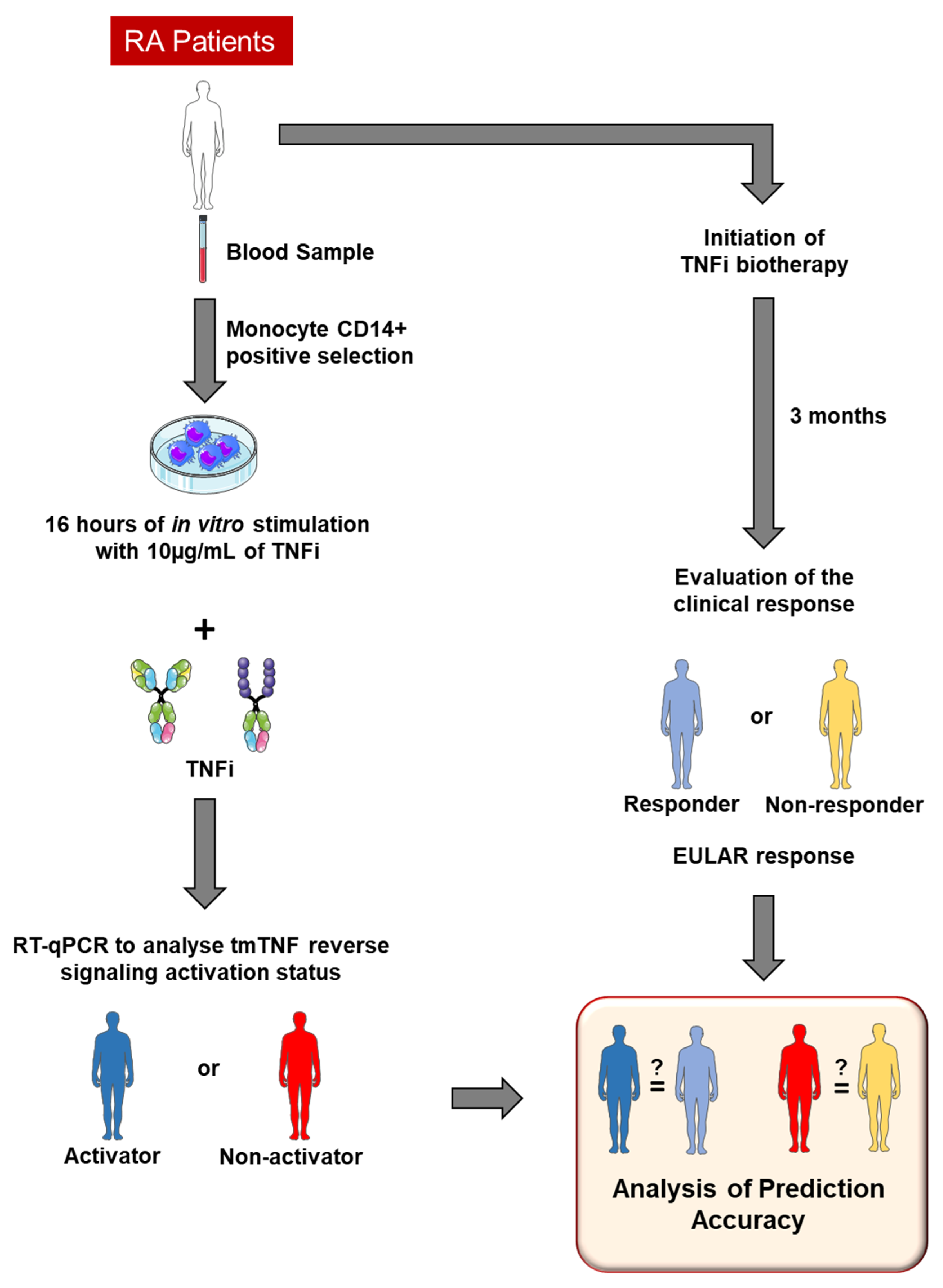Diagnostics 15 01232 g004 Diagnostics 15 01232 g004