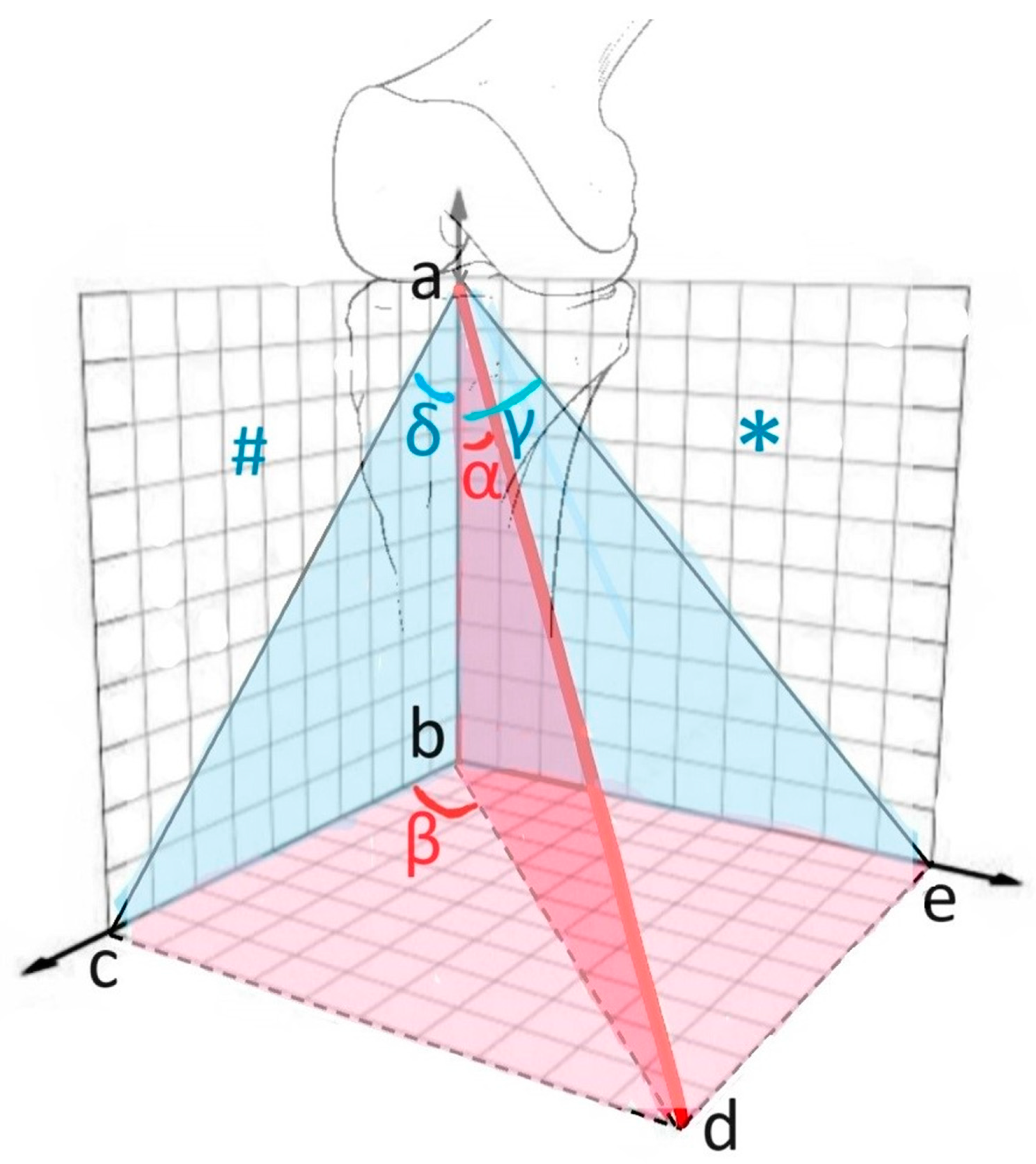 Diagnostics 15 01237 g002