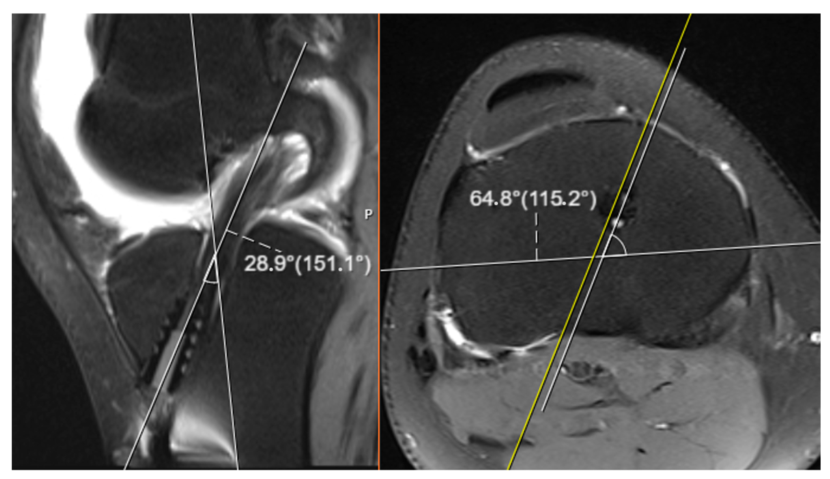 Diagnostics 15 01237 g003