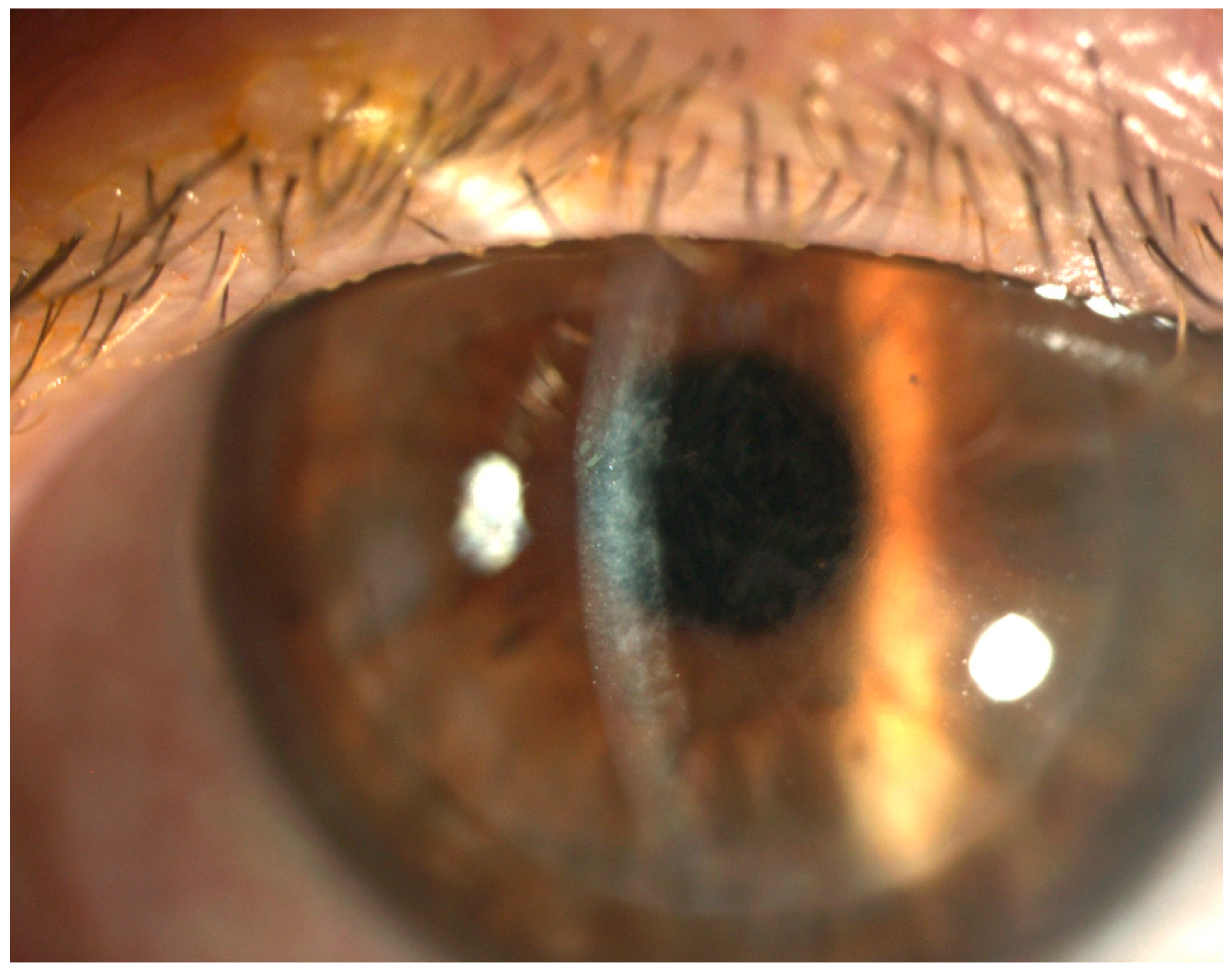 Diagnostics 15 01241 g001 Diagnostics 15 01241 g001