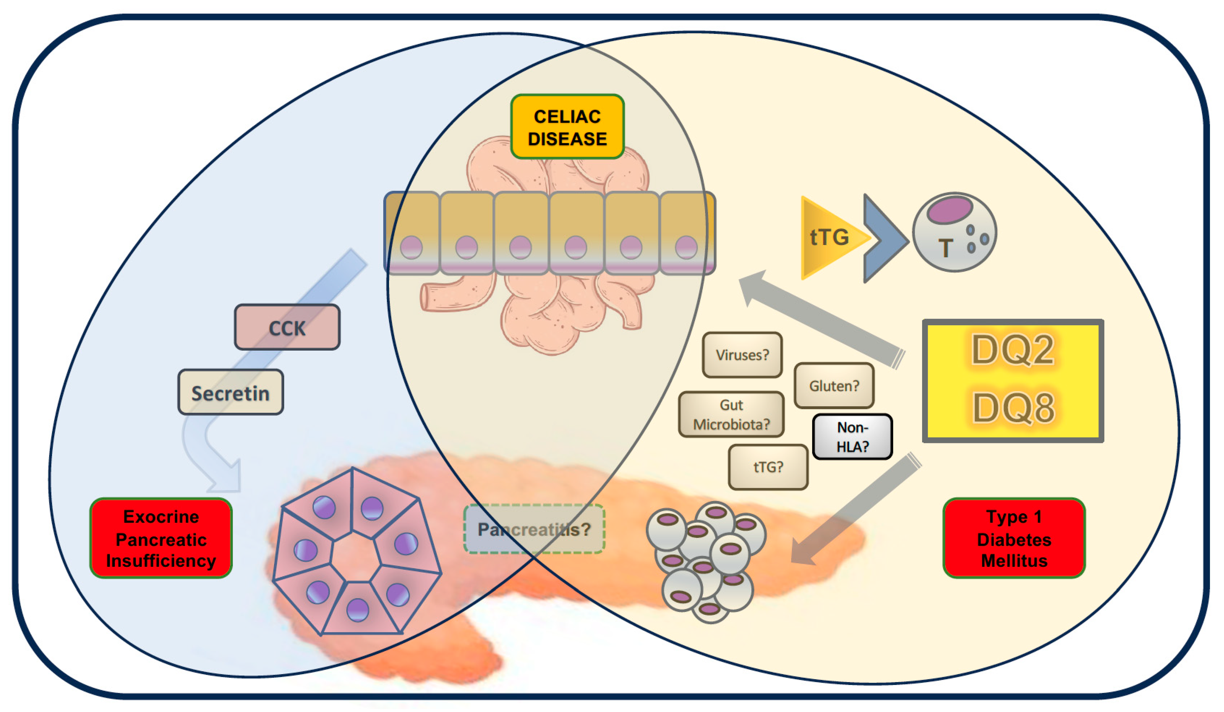 Diagnostics 15 01243 g001