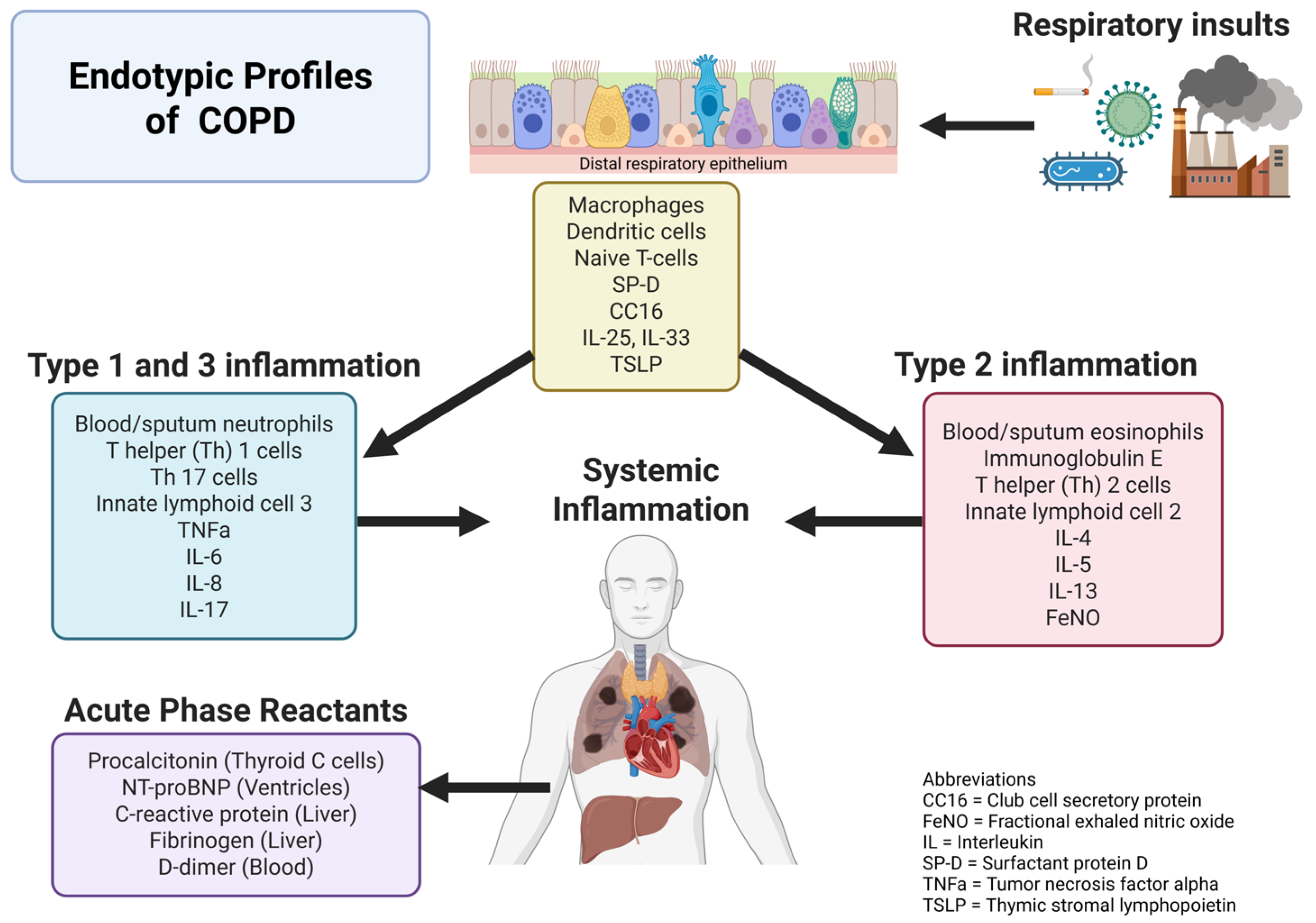 Diagnostics 15 01245 g001