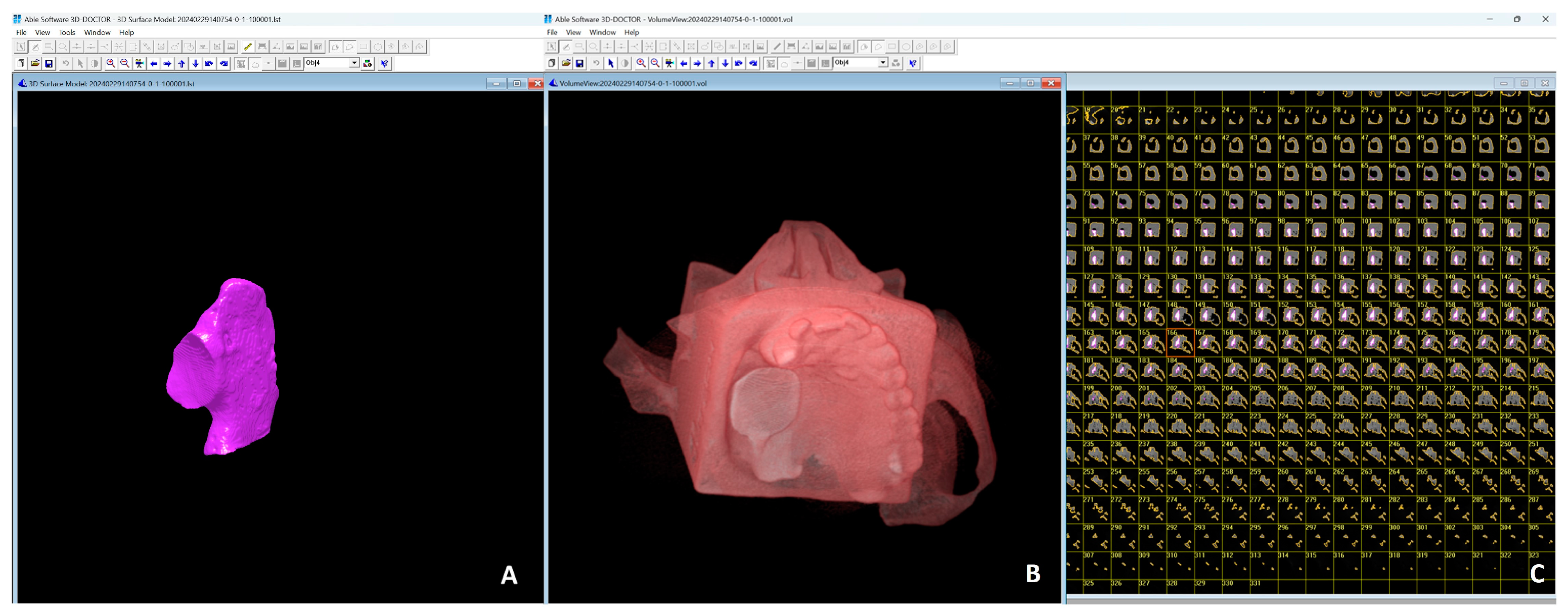 Diagnostics 15 01247 g002