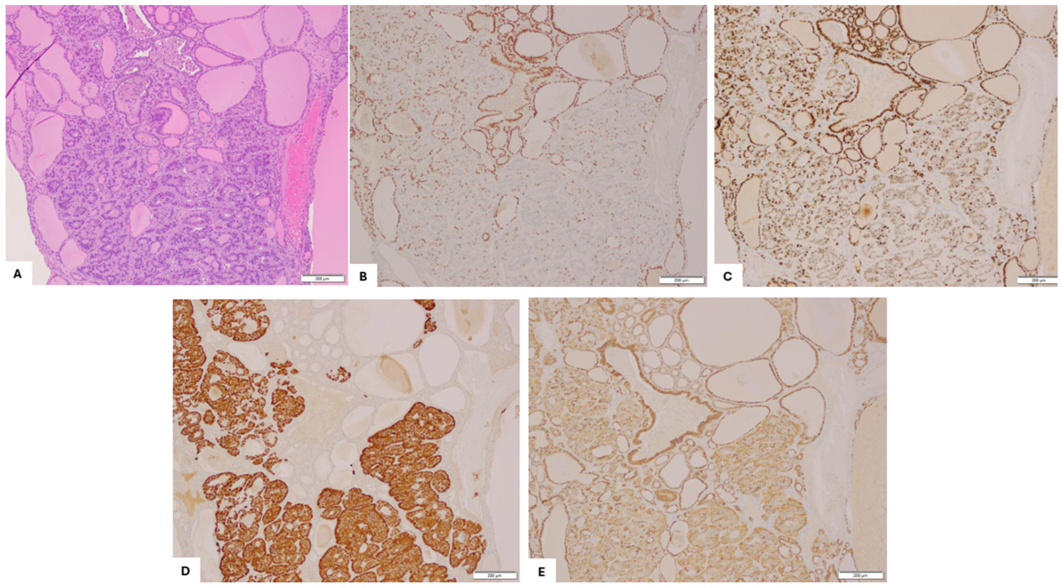Diagnostics 15 01249 g003