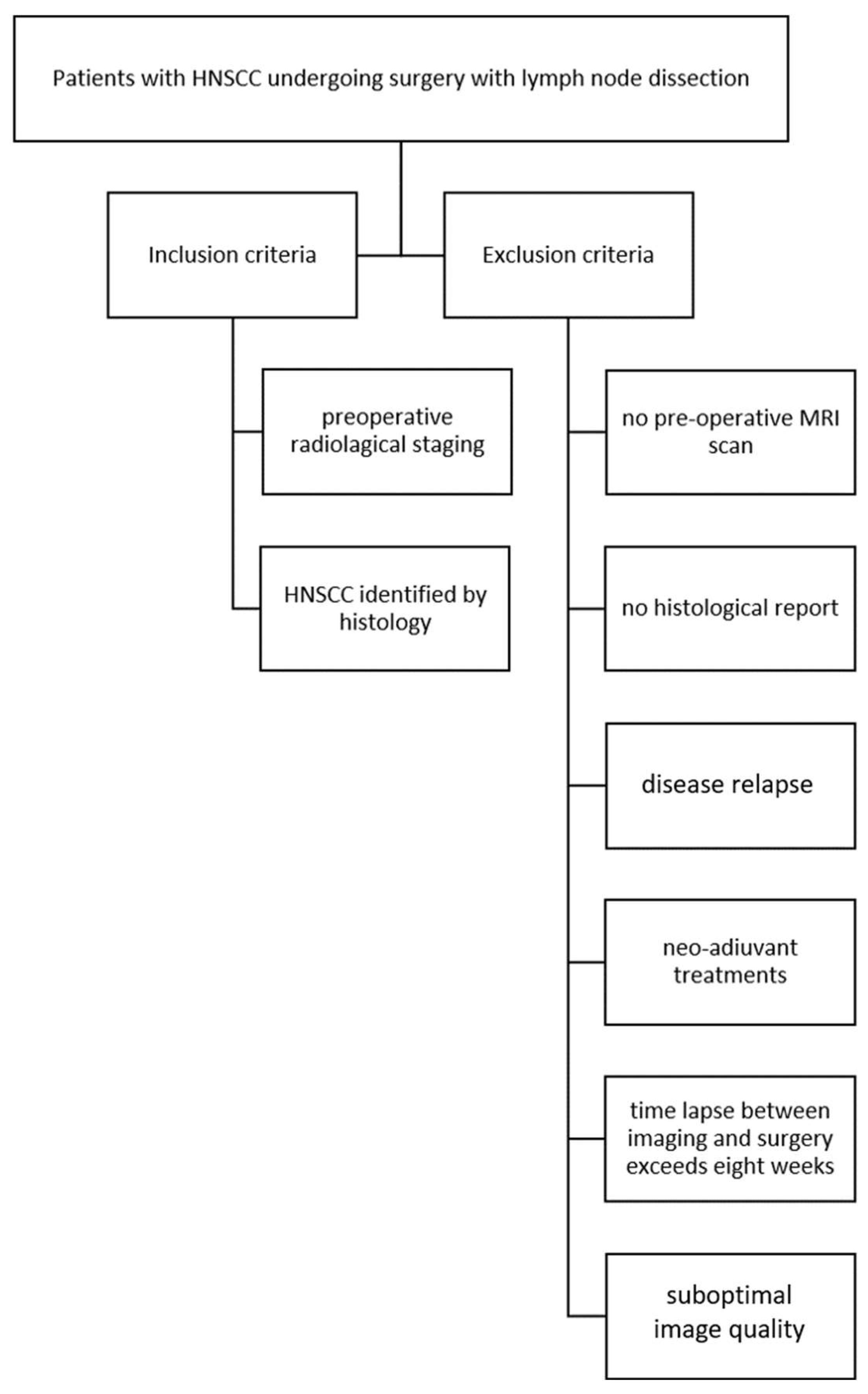 Diagnostics 15 01251 g001