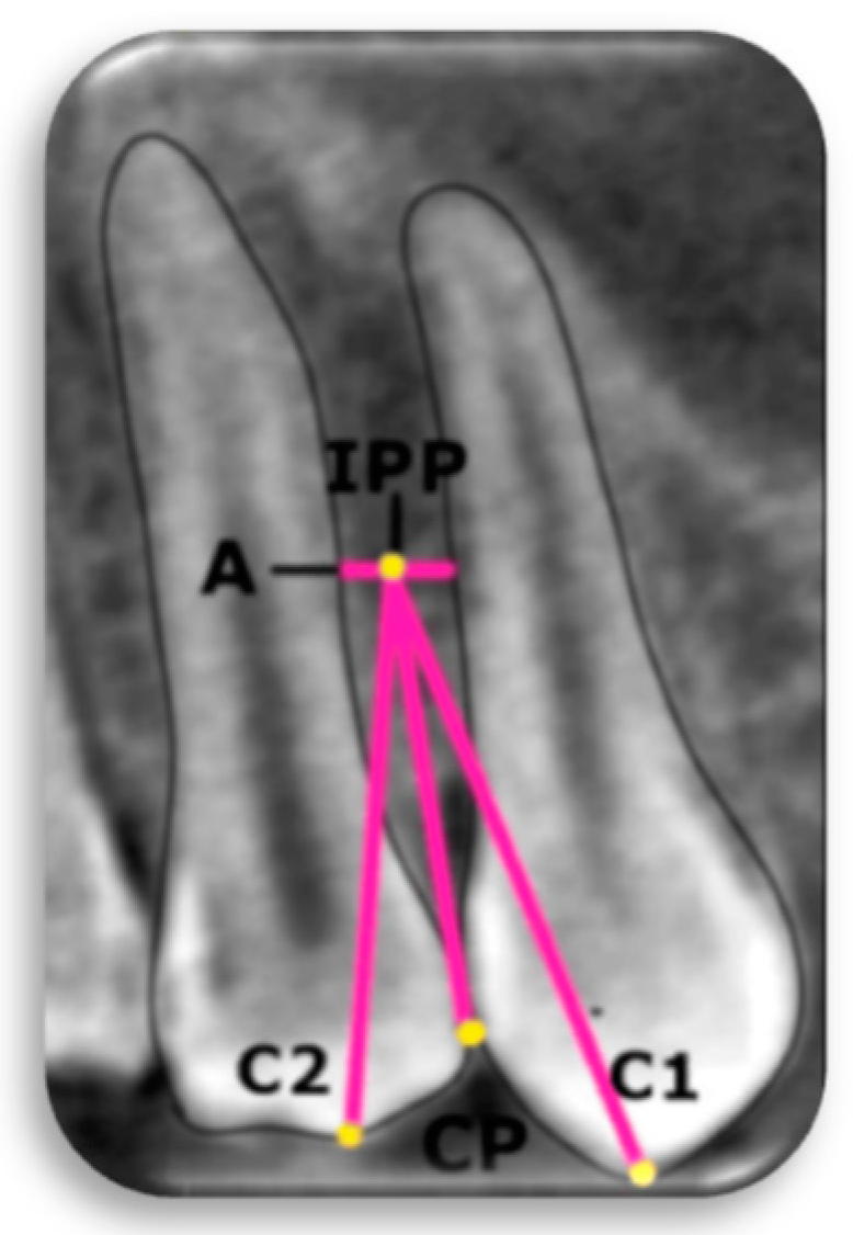 Diagnostics 15 01252 g003