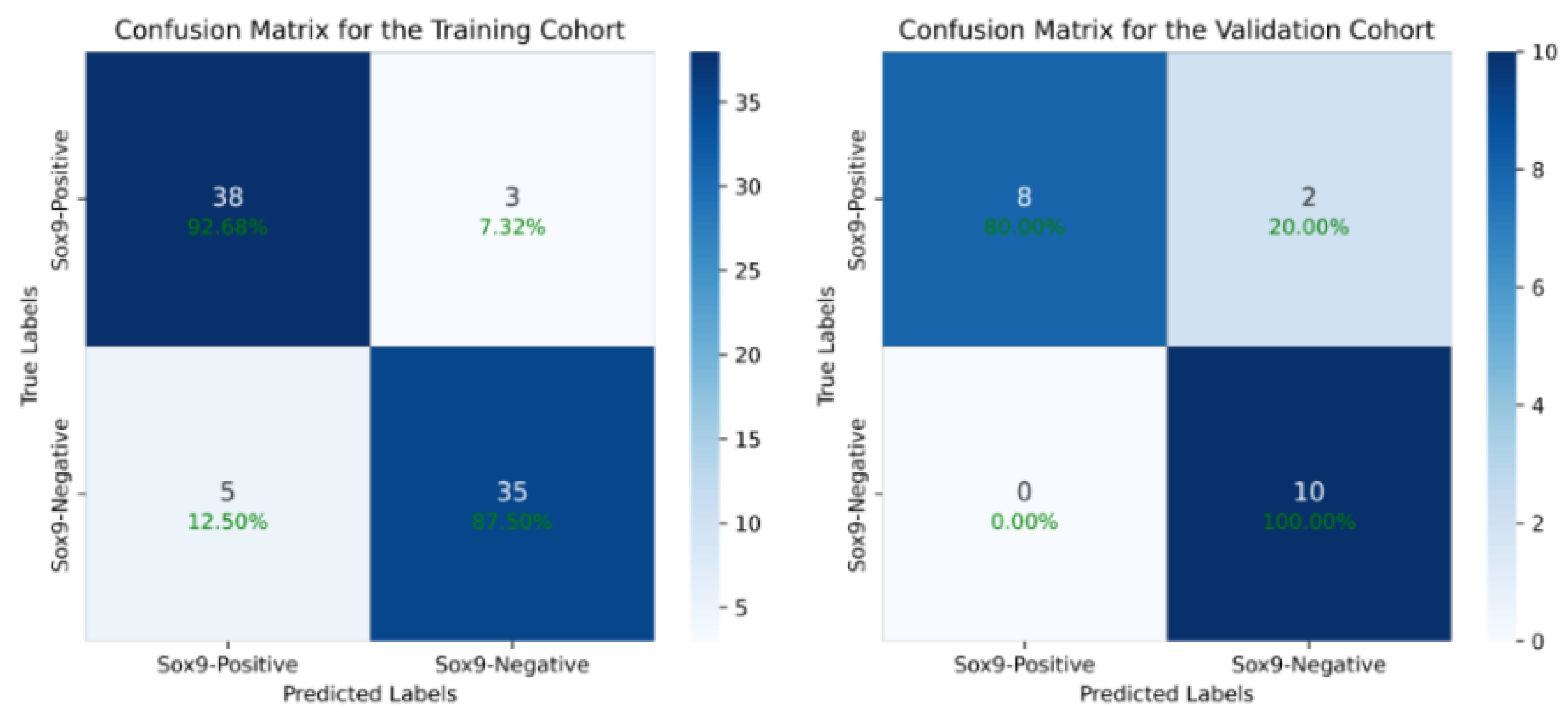 Diagnostics 15 01255 g004