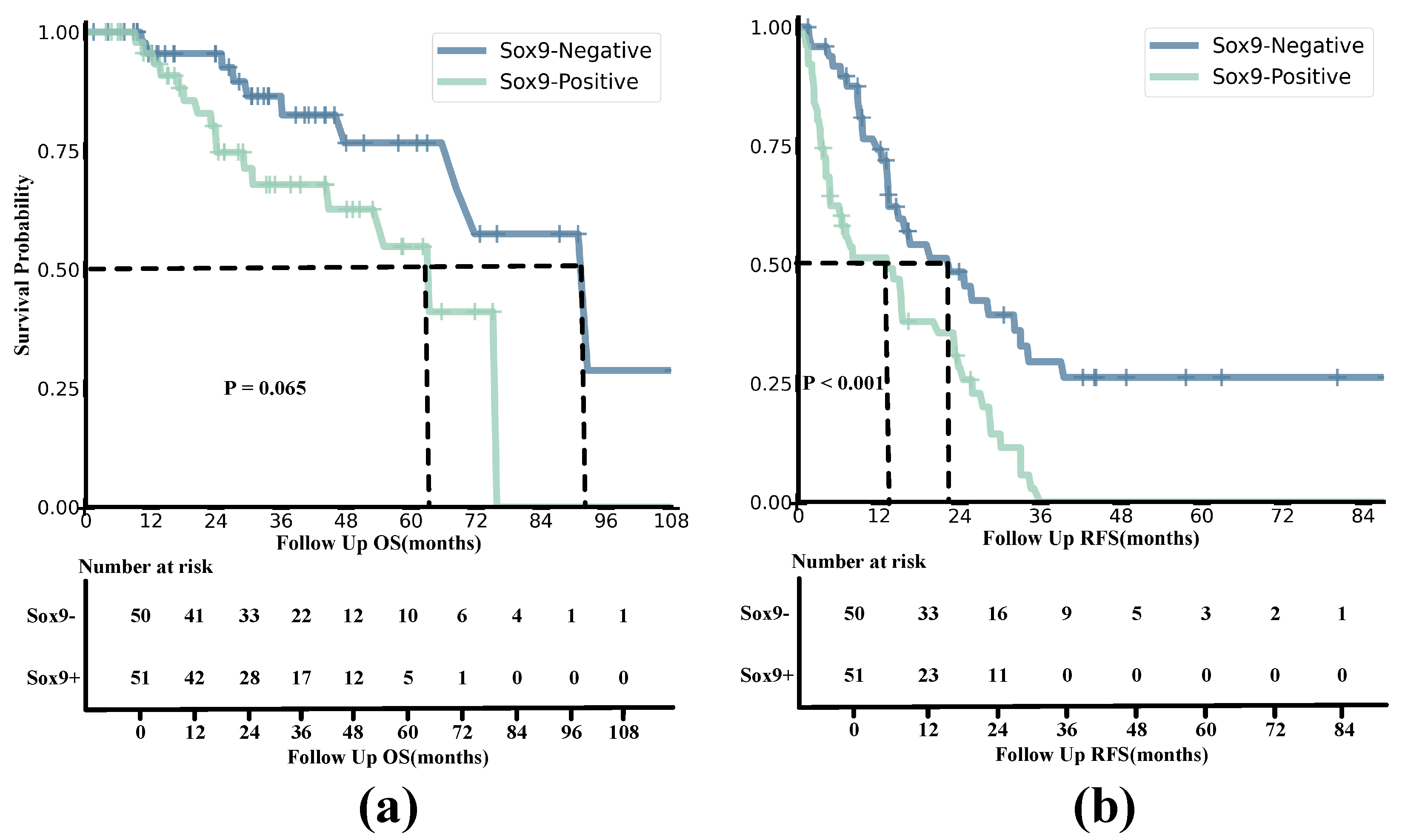 Diagnostics 15 01255 g008
