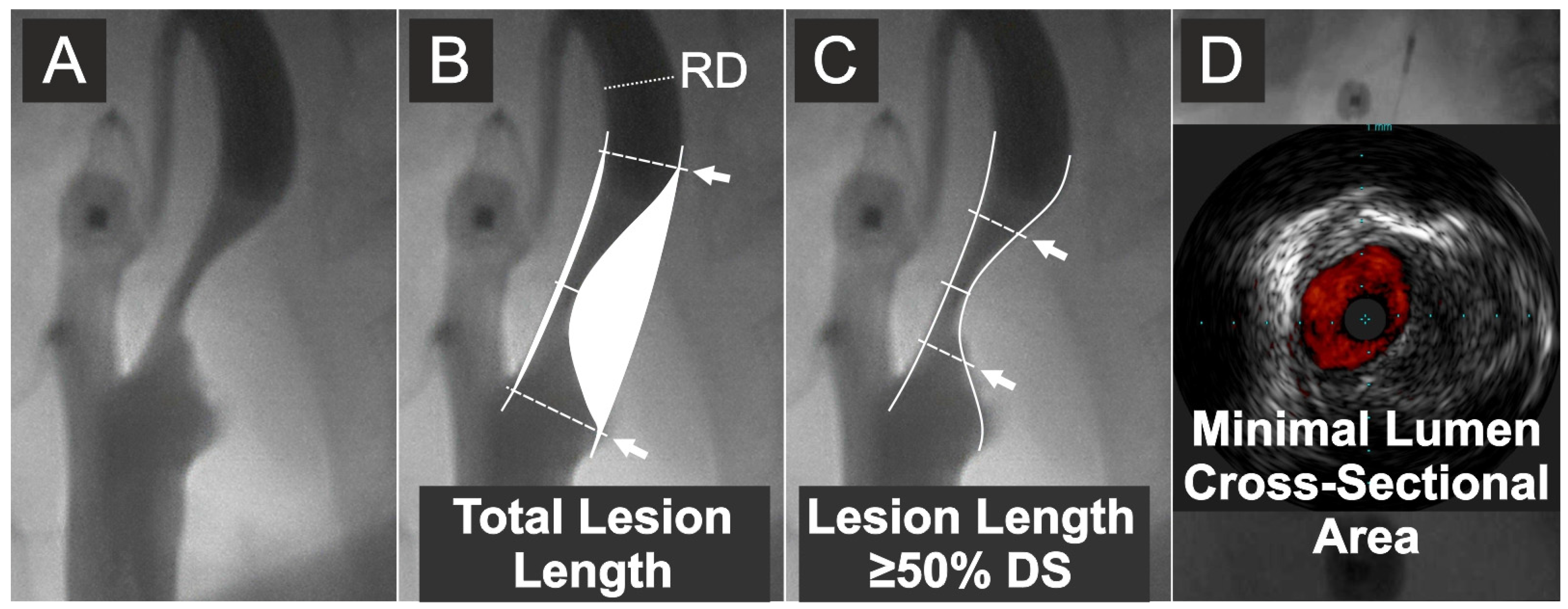 Diagnostics 15 01259 g002