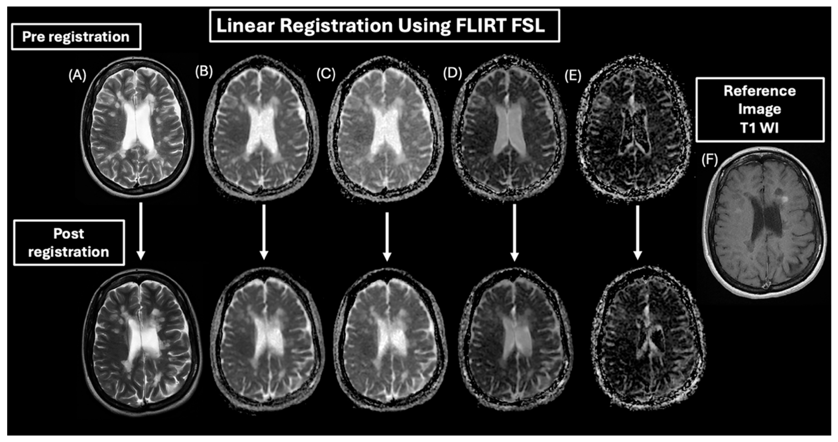 Diagnostics 15 01260 g003 Diagnostics 15 01260 g003