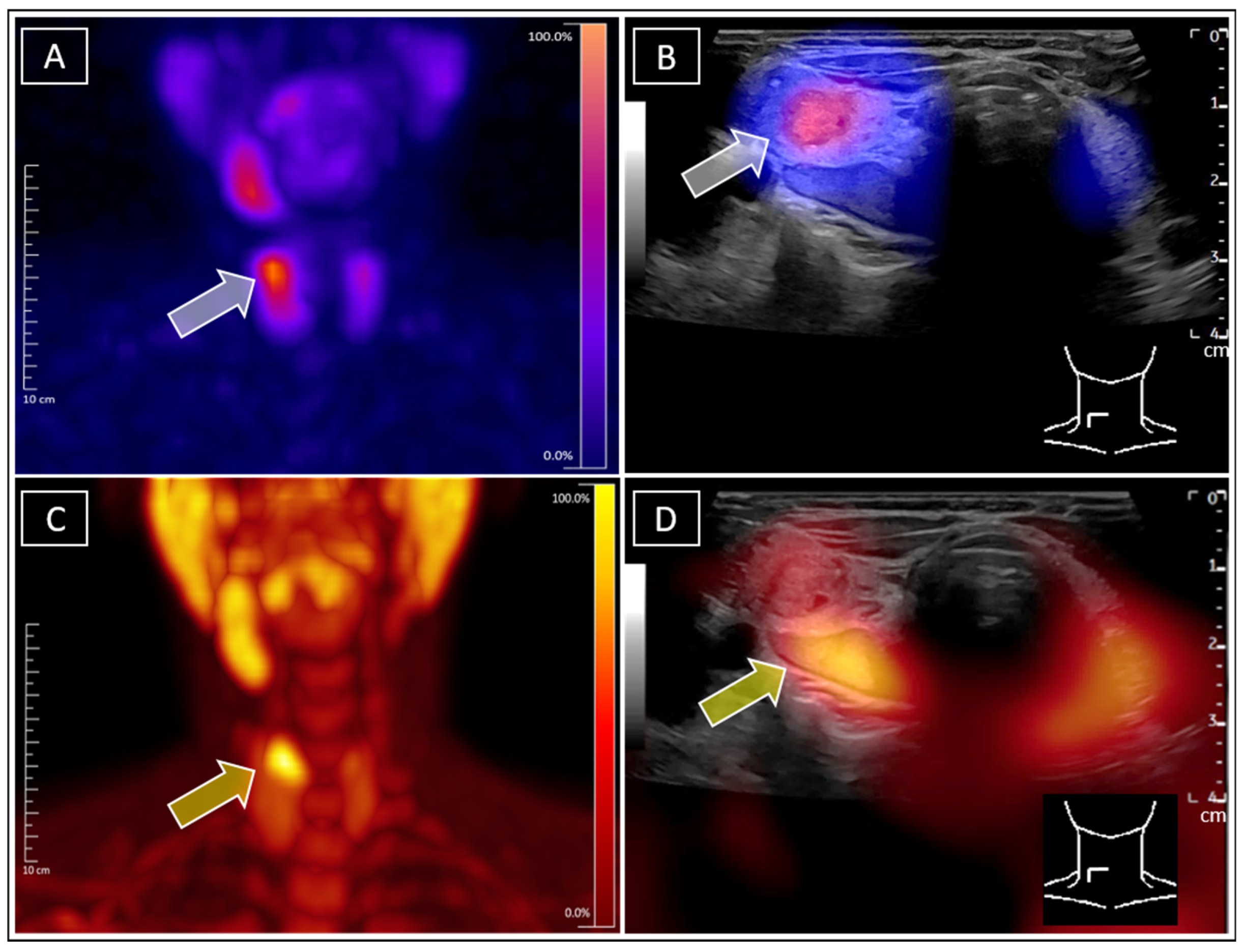 Diagnostics 15 01262 g002