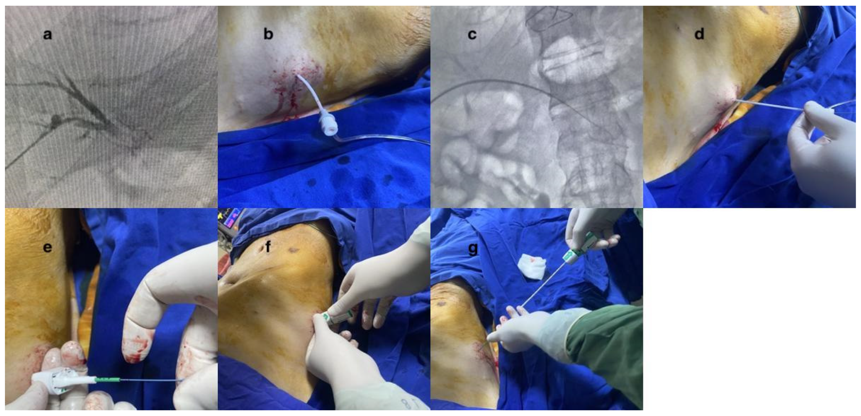 Diagnostics 15 01266 g002
