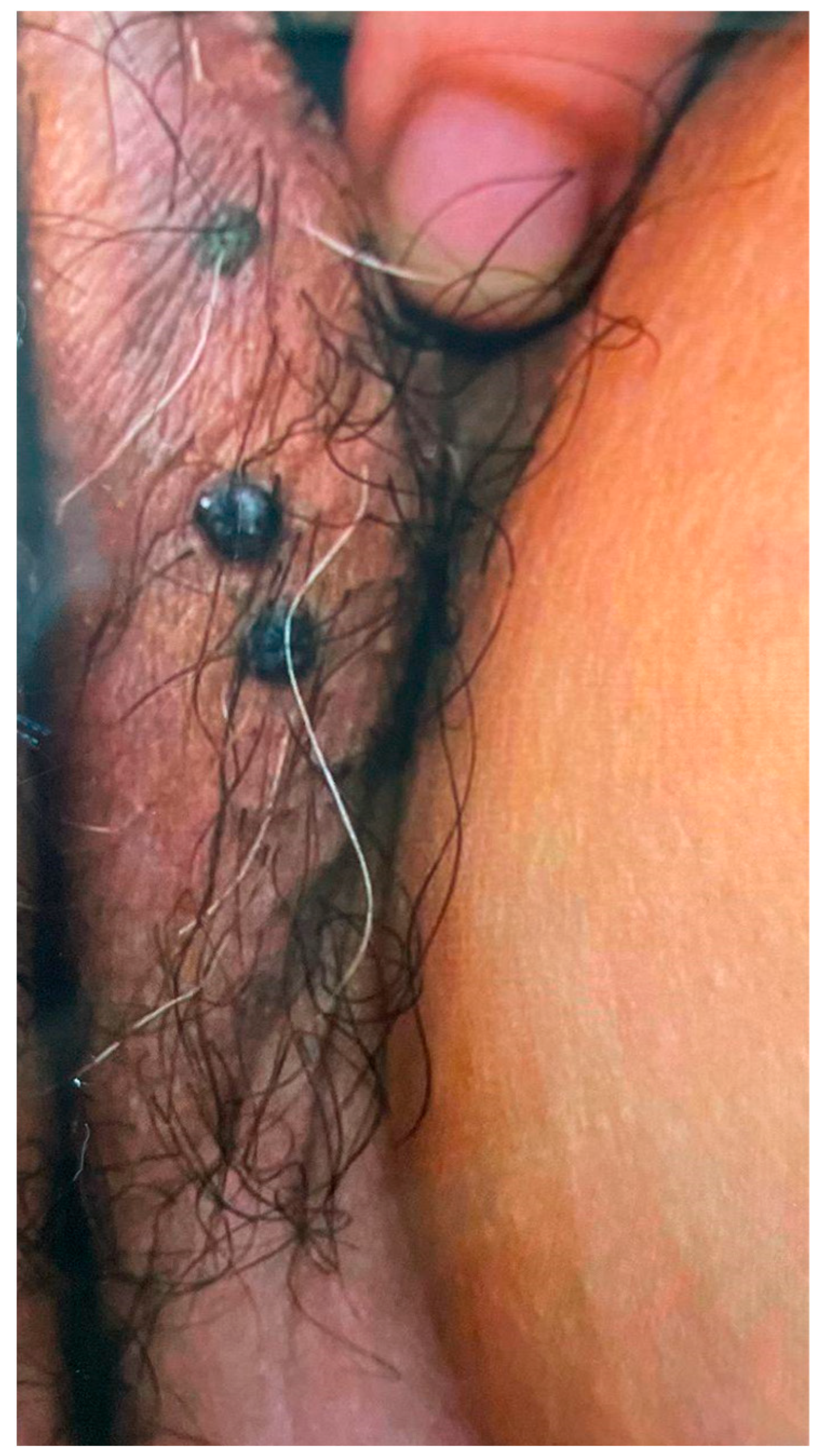 Diagnostics 15 01270 g002