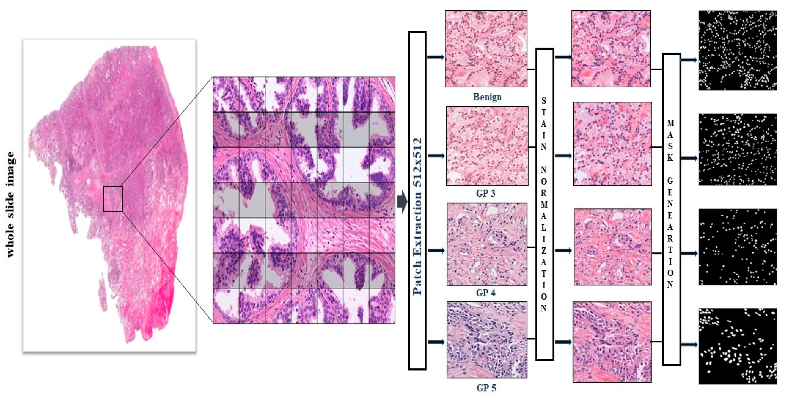 Diagnostics 15 01271 g002 Diagnostics 15 01271 g002