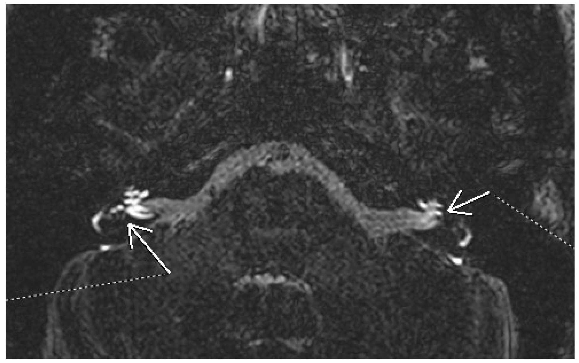 Diagnostics 15 01272 g002