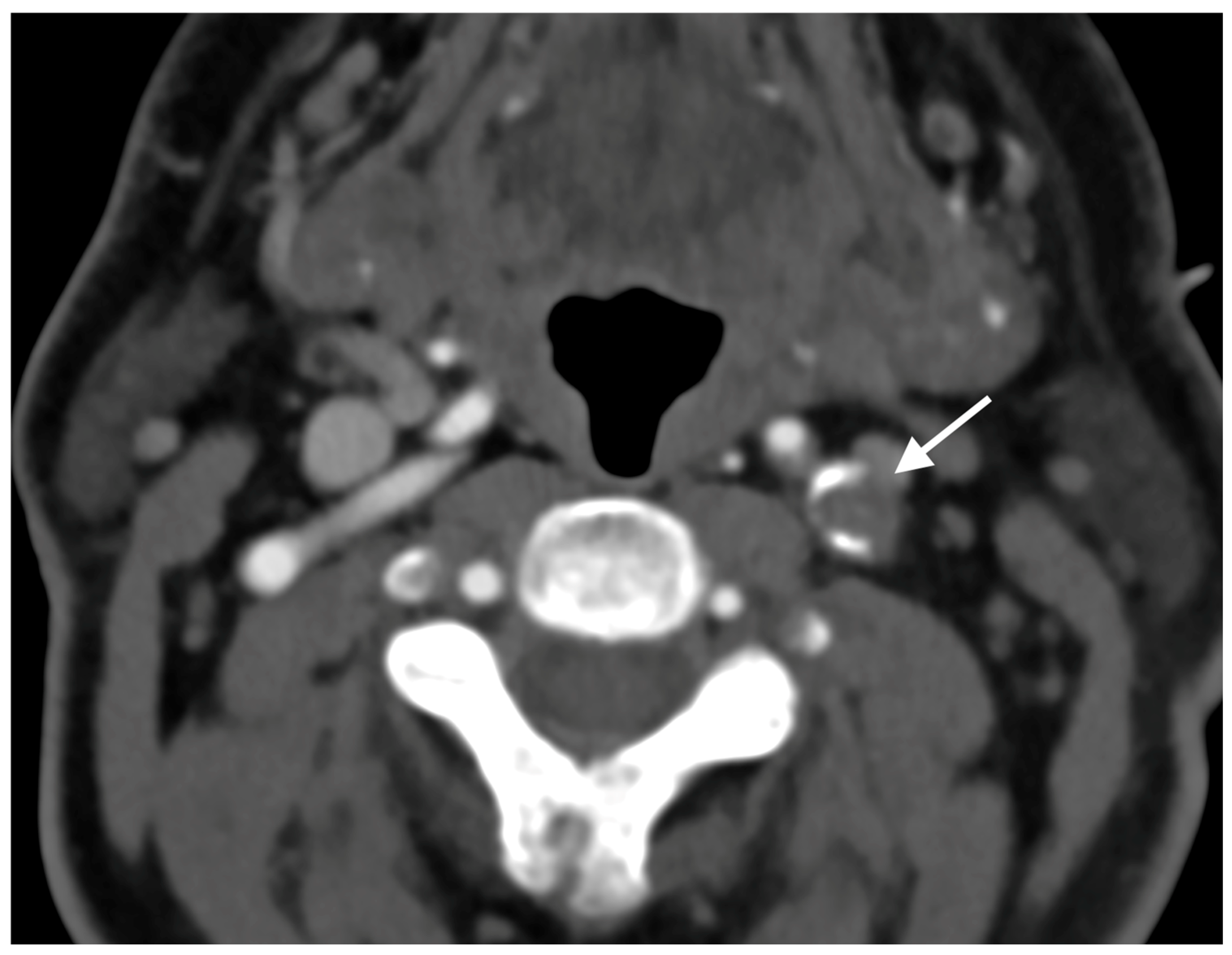 Diagnostics 15 01273 g001
