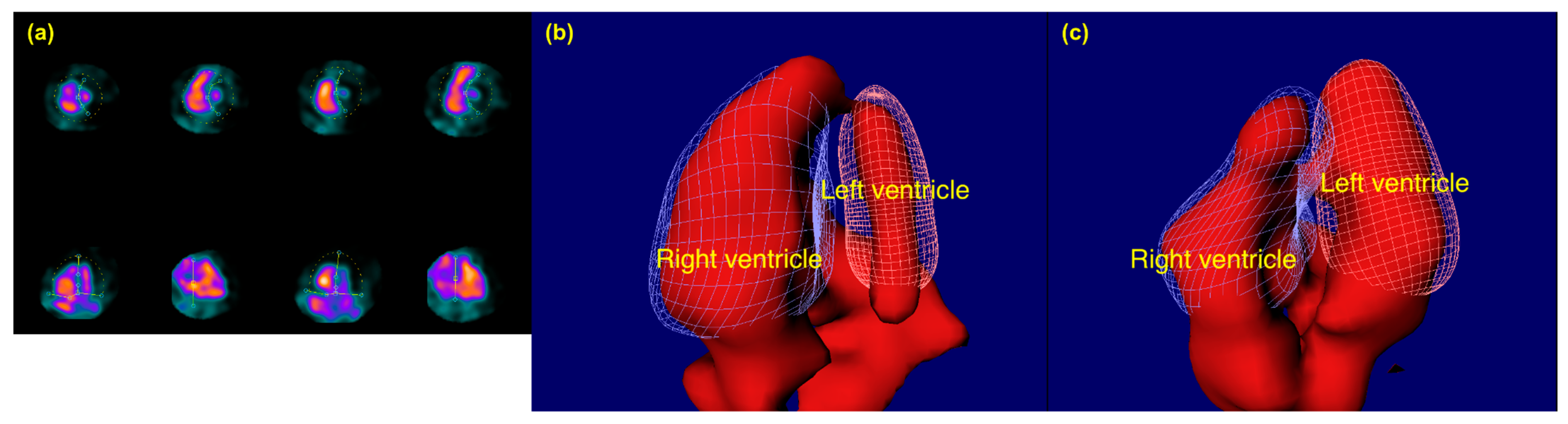 Diagnostics 15 01274 g002
