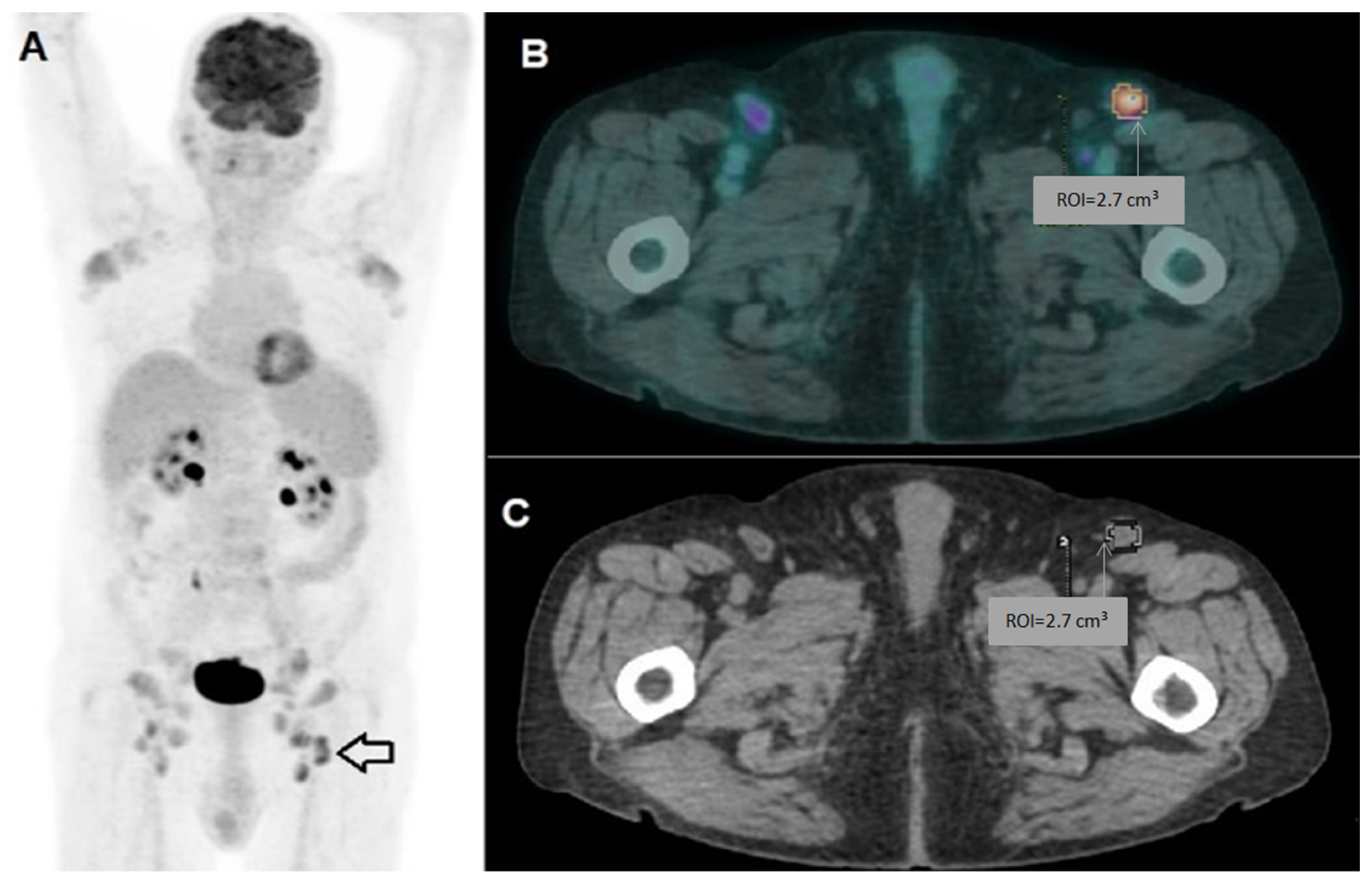 Diagnostics 15 01281 g001