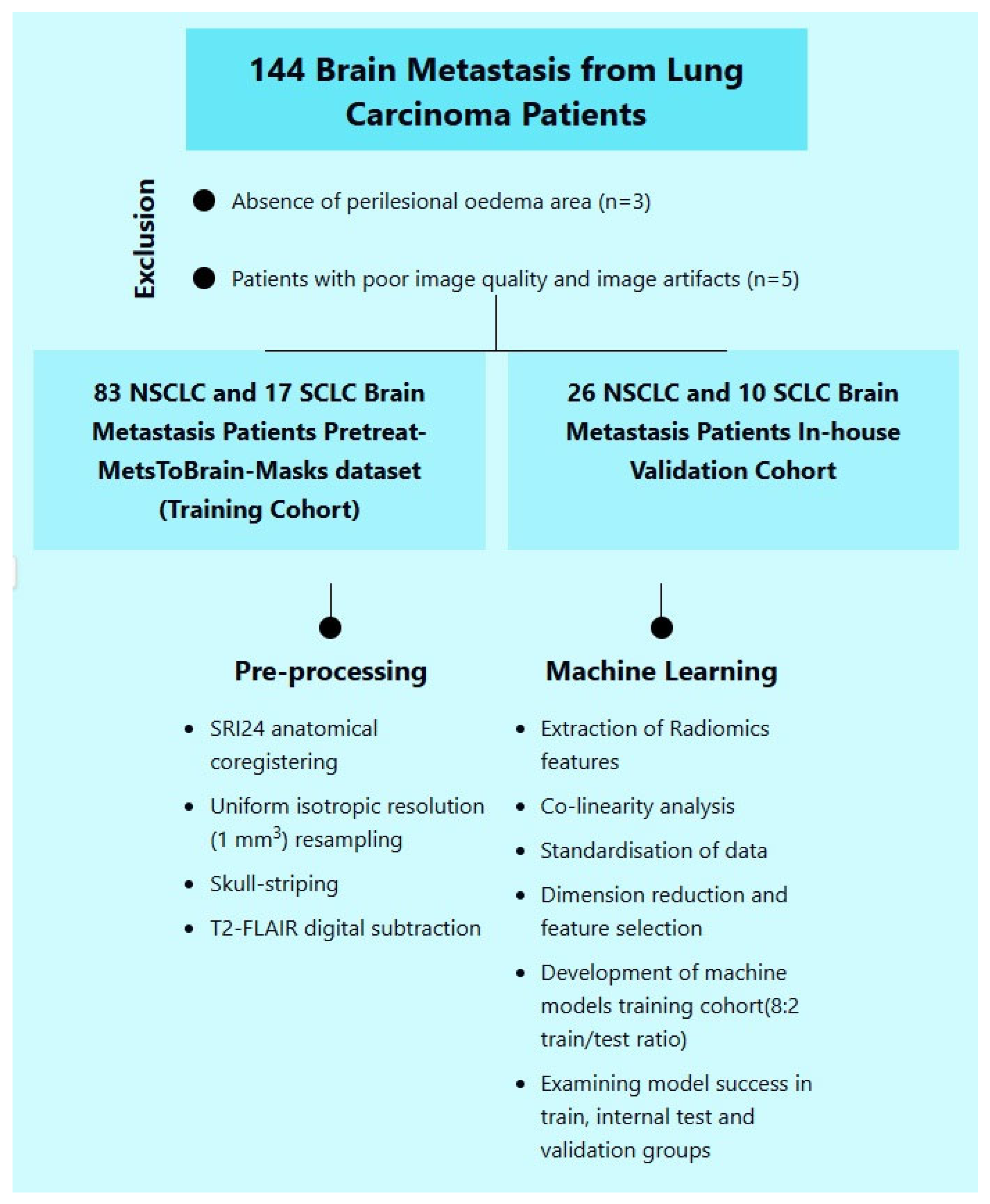 Diagnostics 15 01283 g001