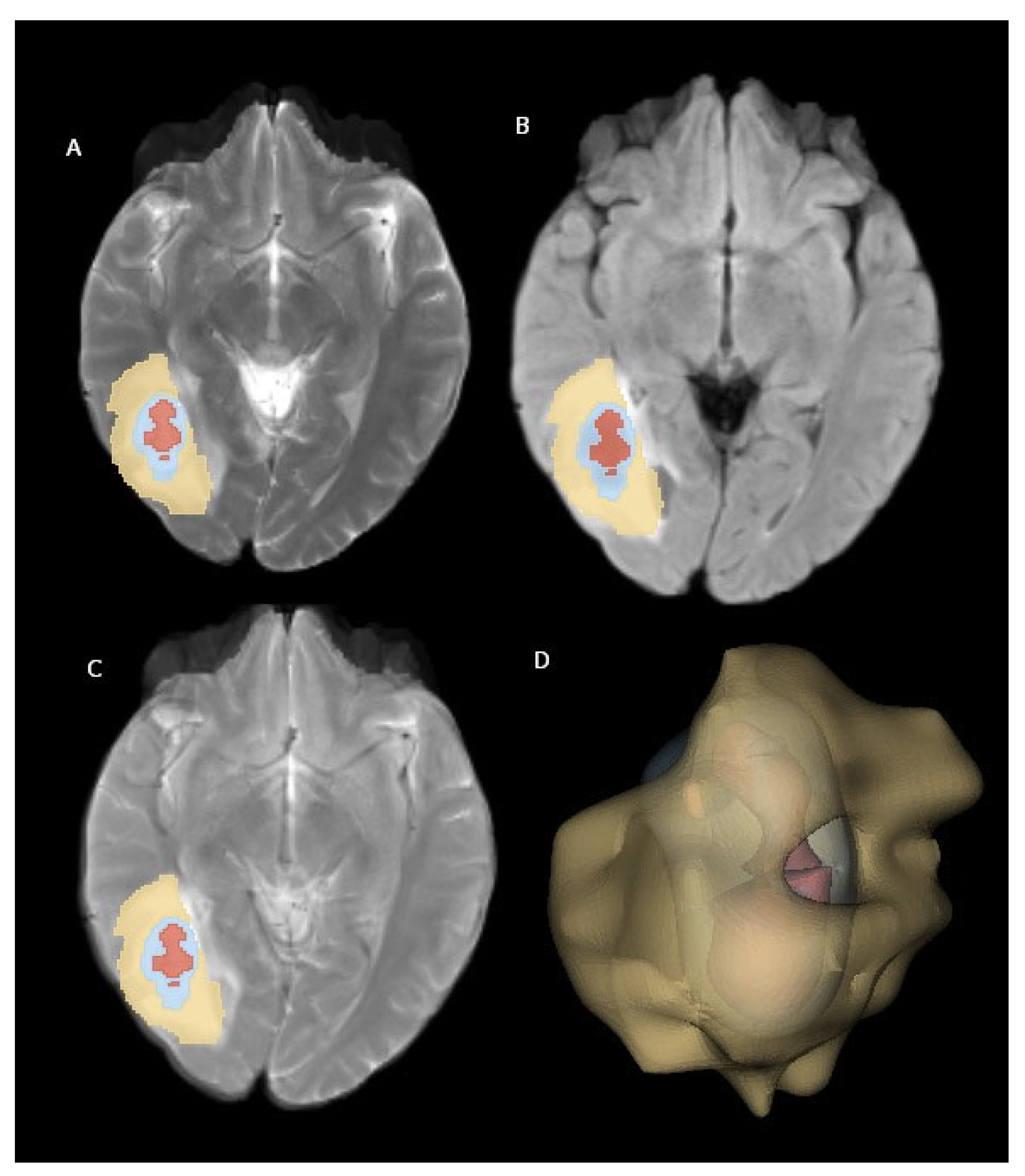 Diagnostics 15 01283 g002