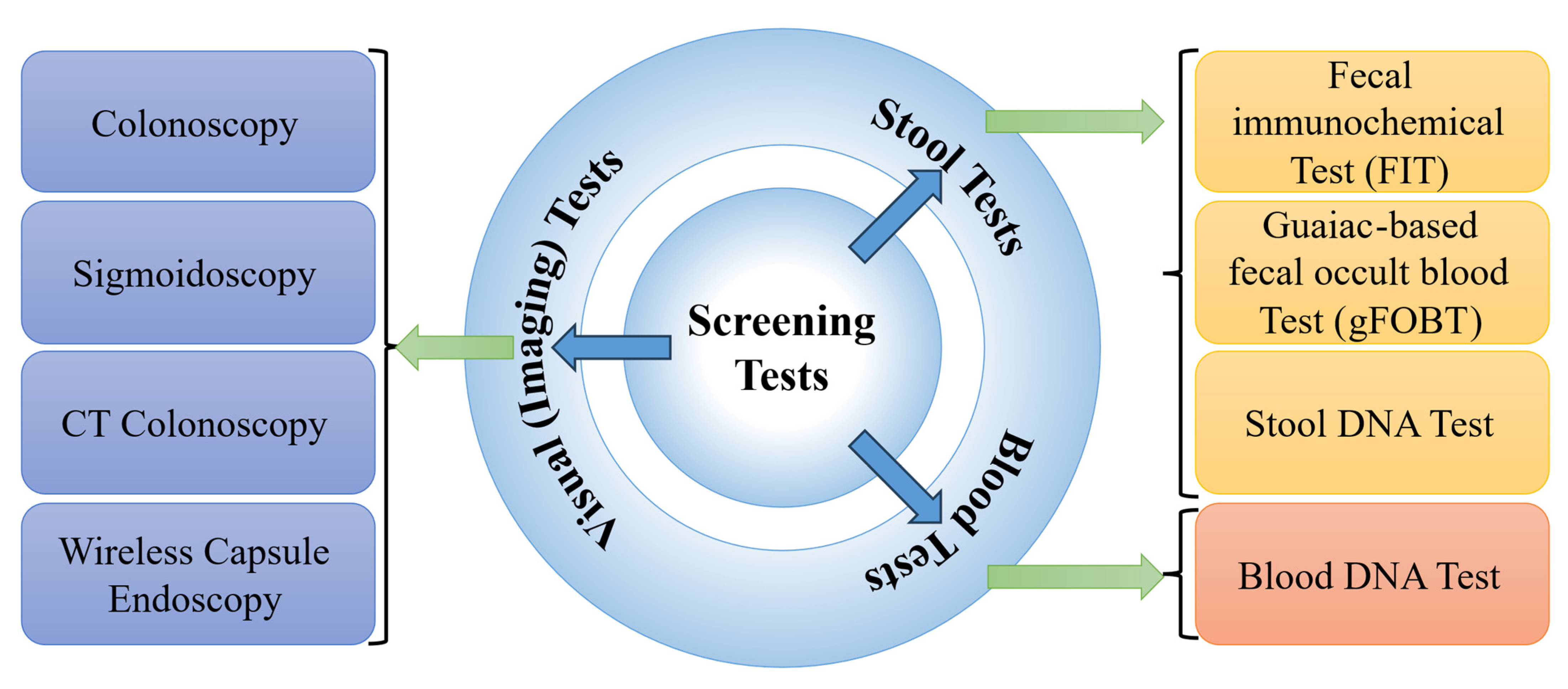 Diagnostics 15 01285 g006