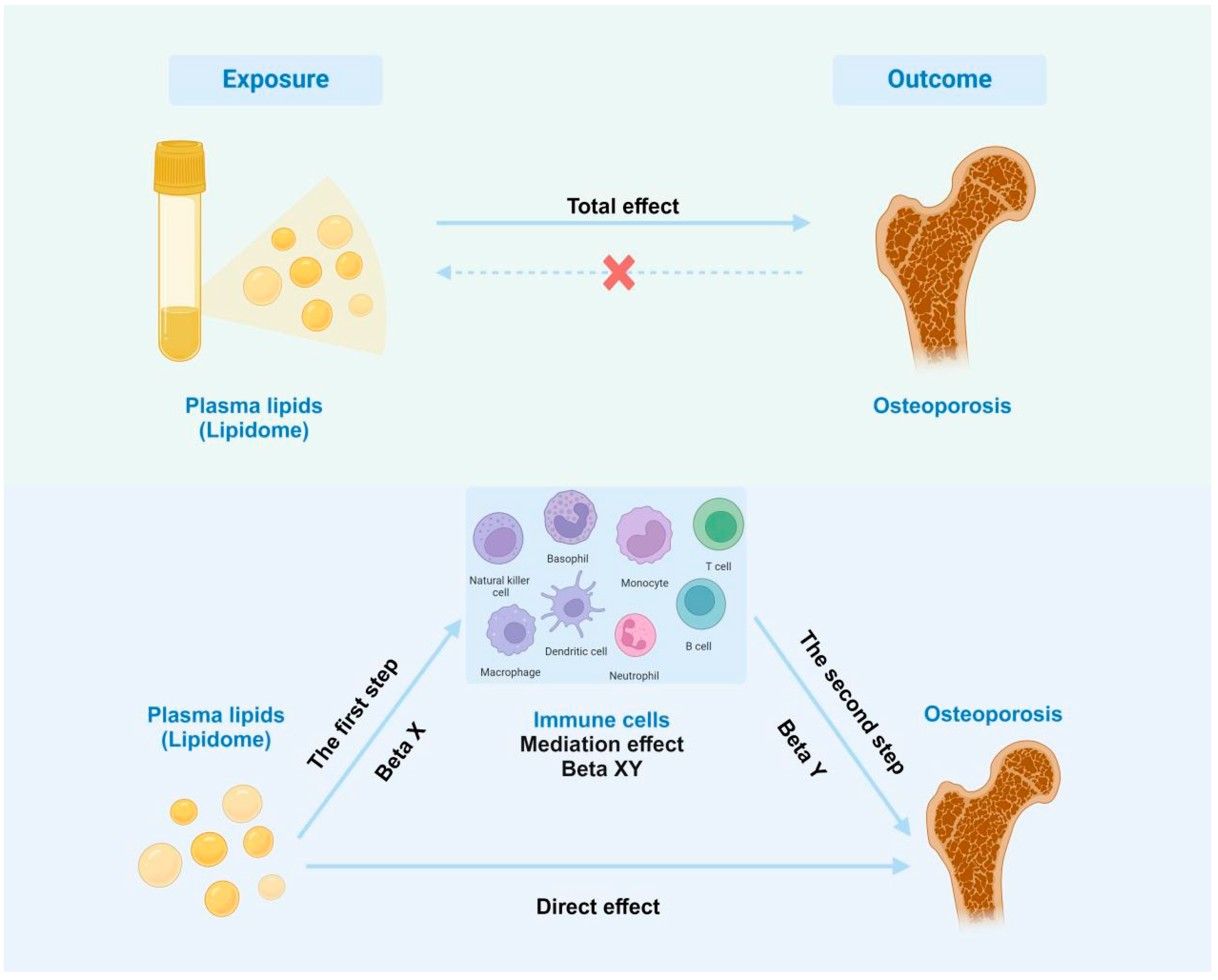 Diagnostics 15 01287 g001