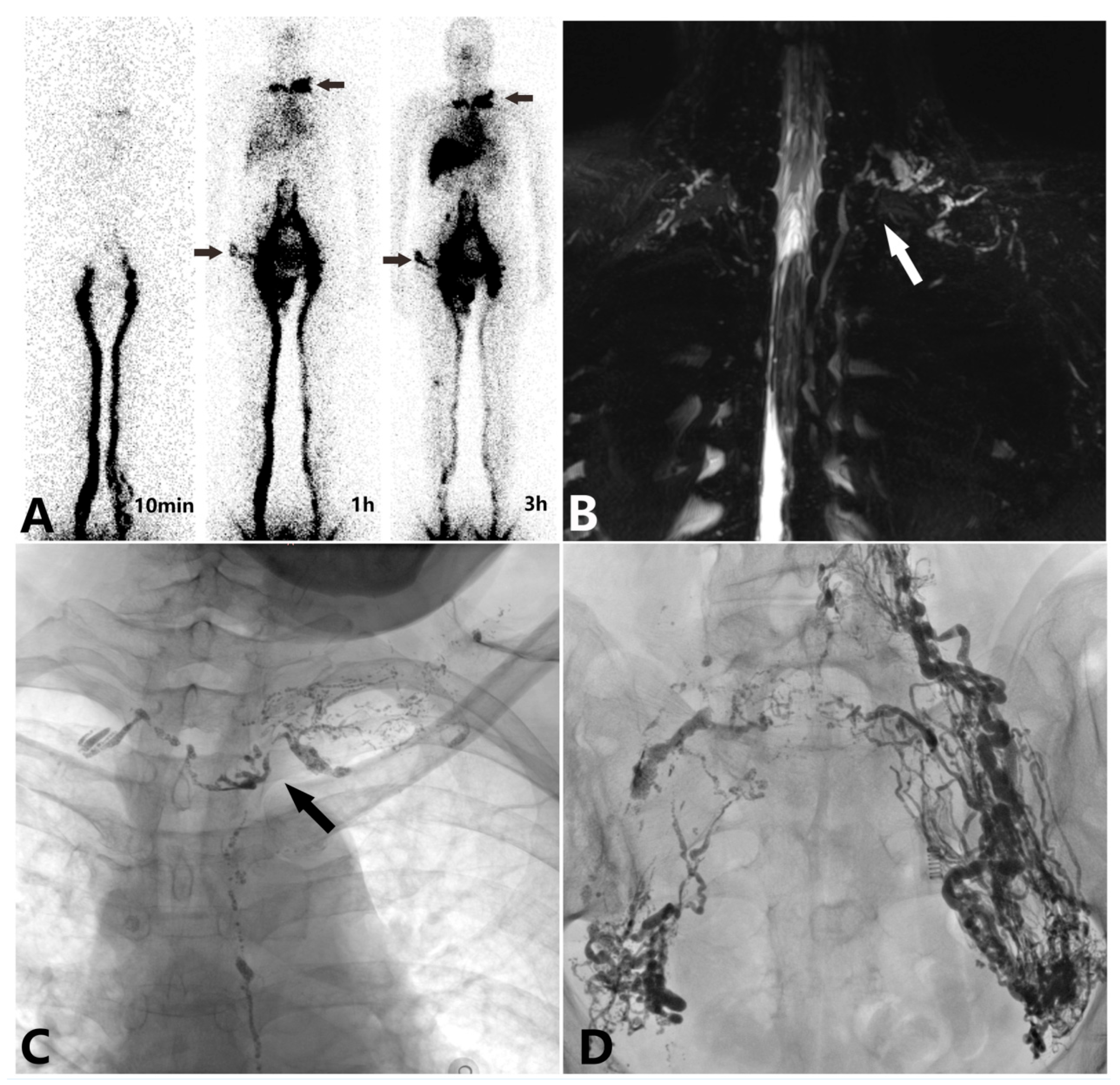 Diagnostics 15 01288 g001