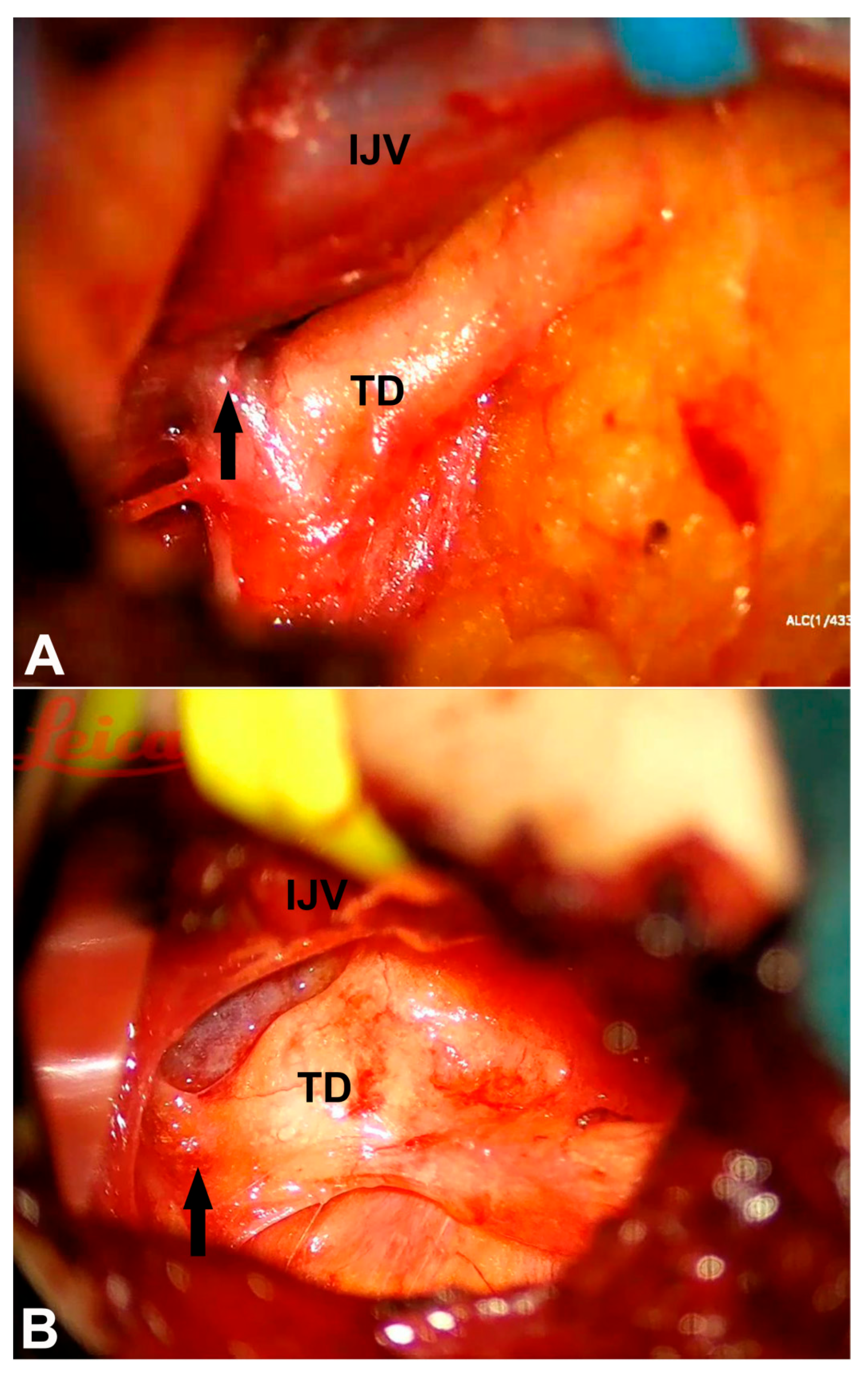 Diagnostics 15 01288 g002