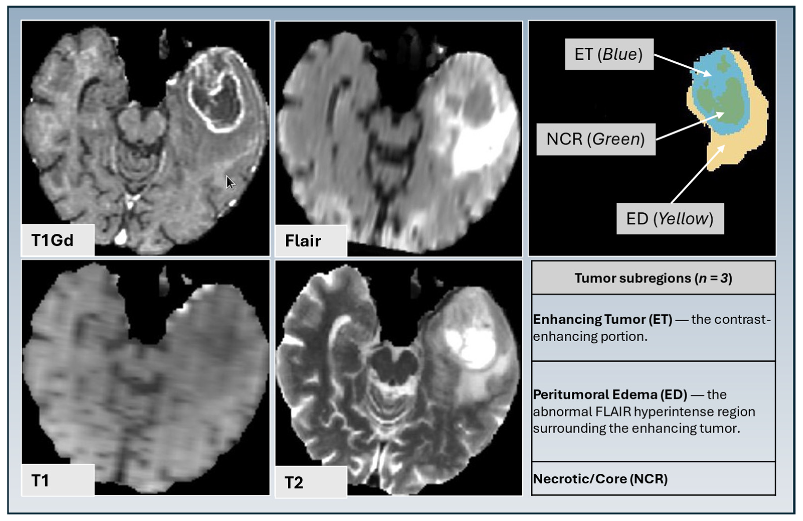 Diagnostics 15 01292 g001