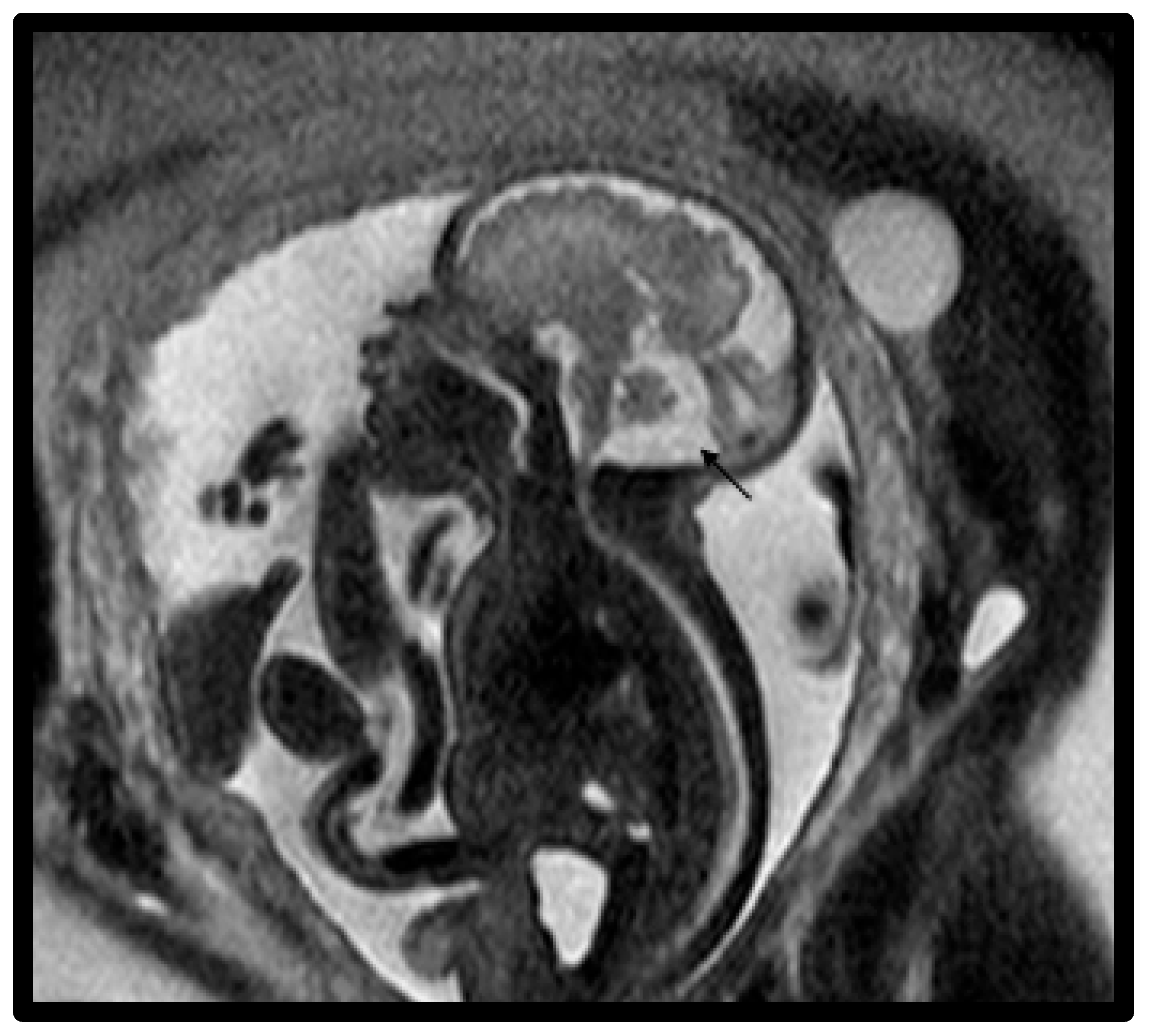 Diagnostics 15 01295 g004