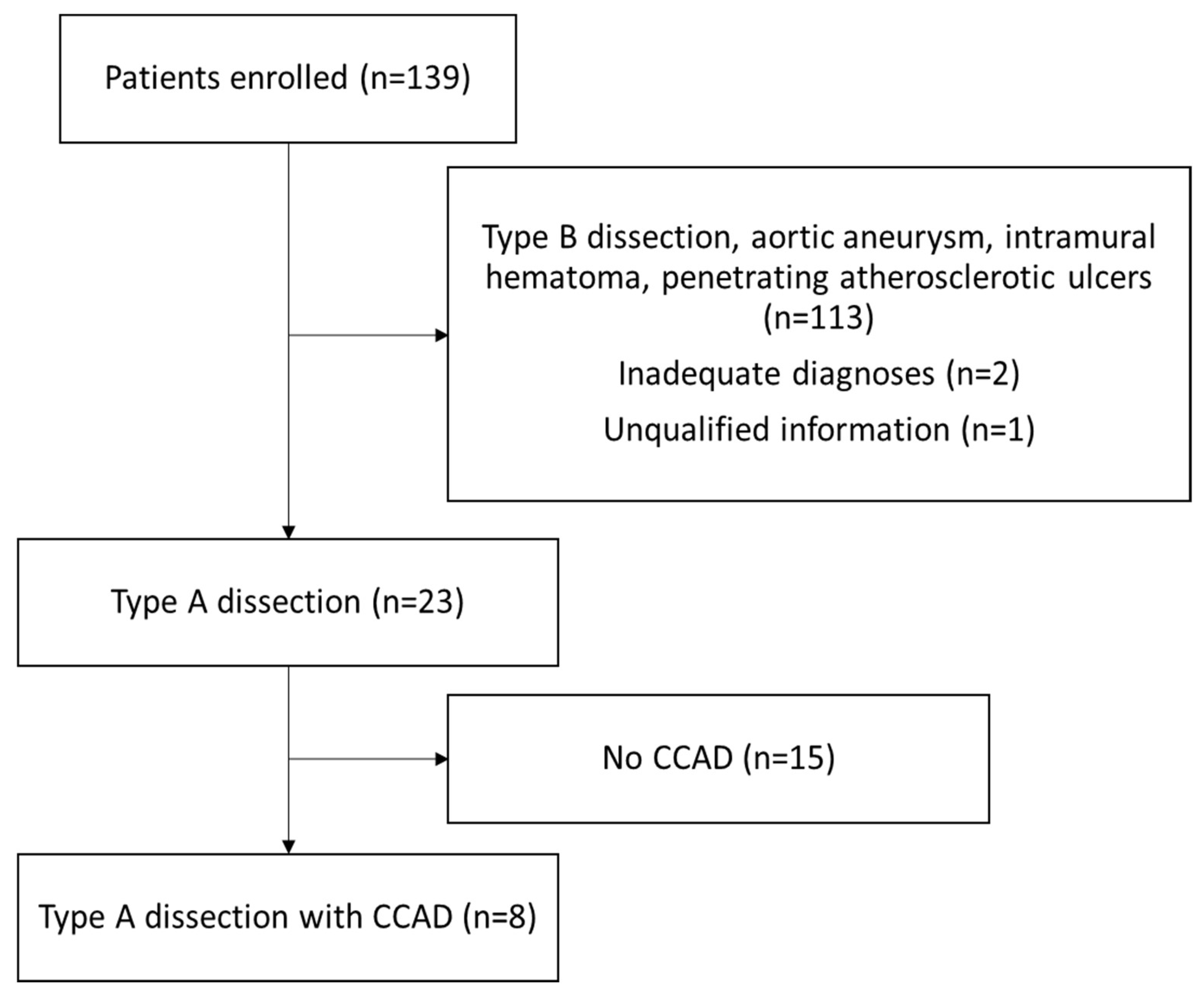 Diagnostics 15 01297 g001