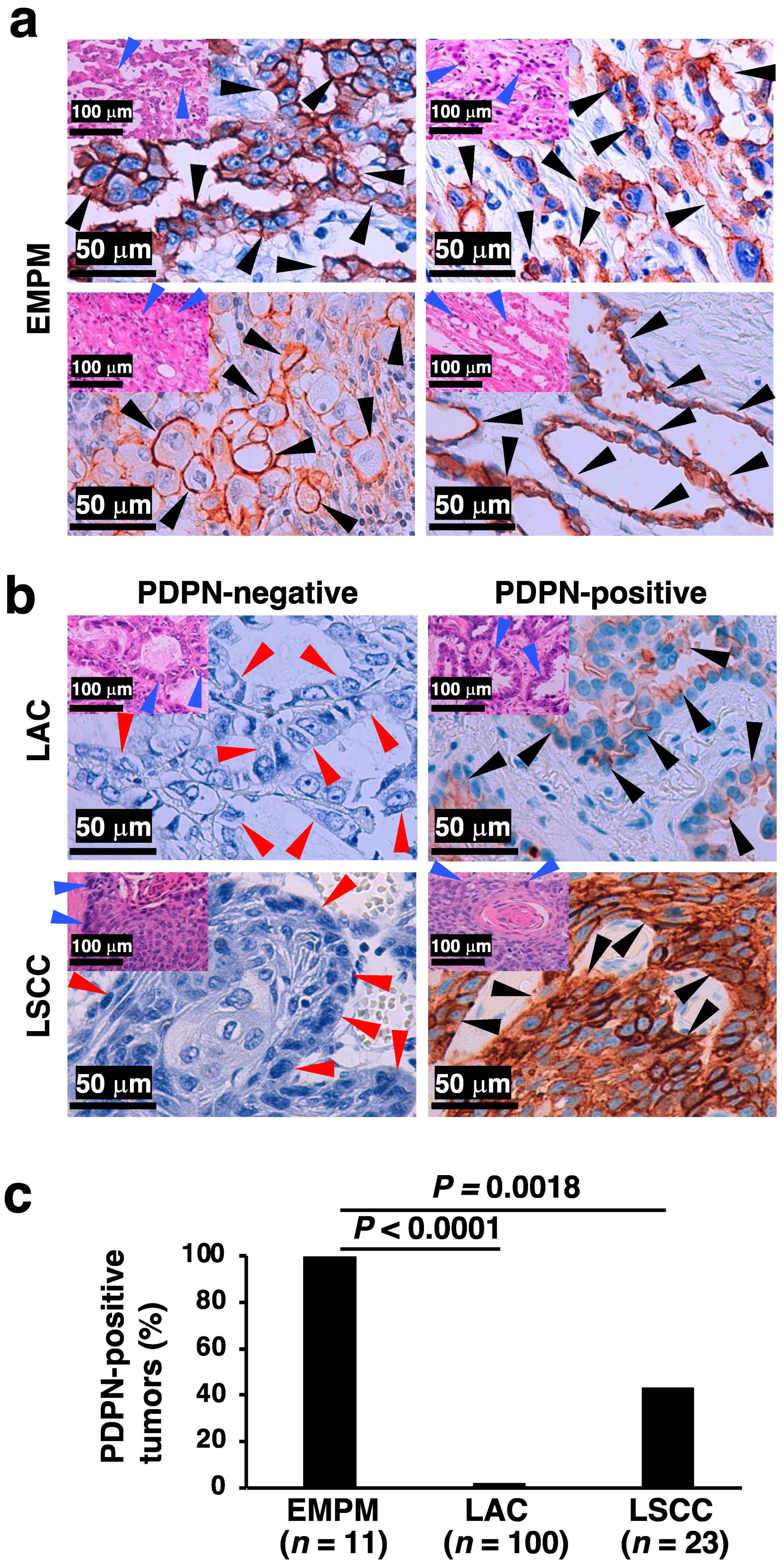Diagnostics 15 01298 g002