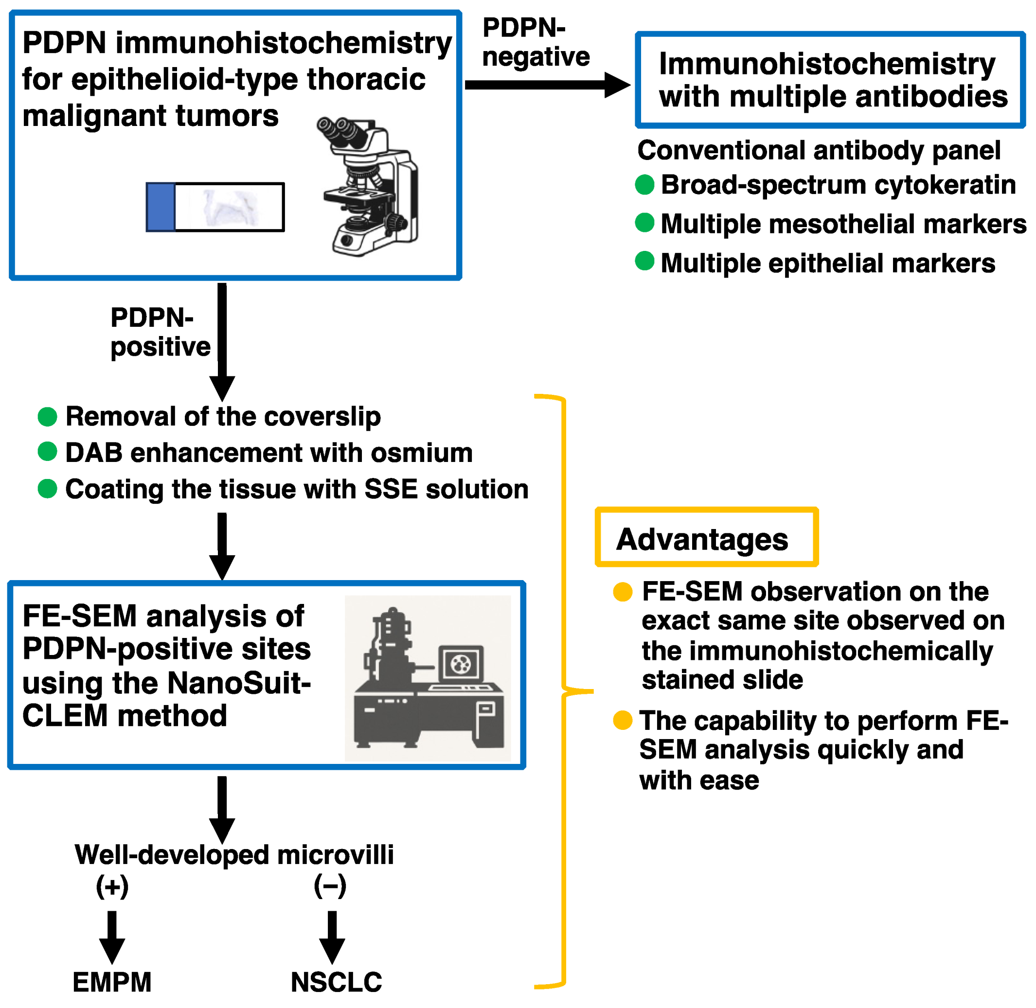 Diagnostics 15 01298 g006