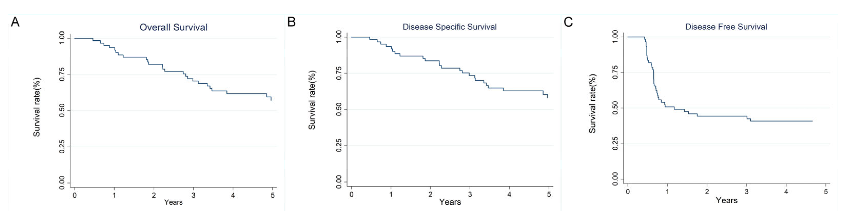 Diagnostics 15 01309 g001