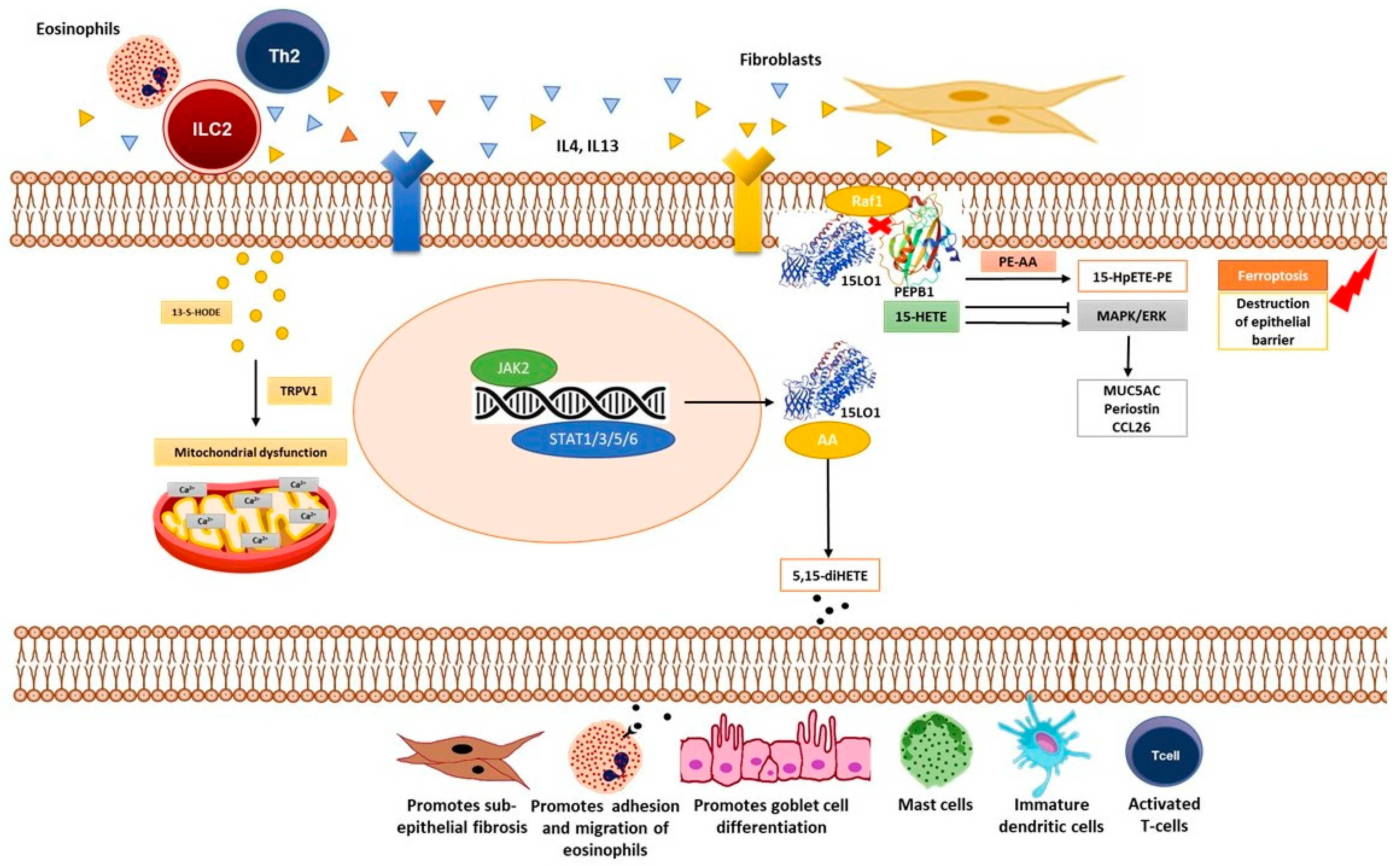 Diagnostics 15 01322 g001