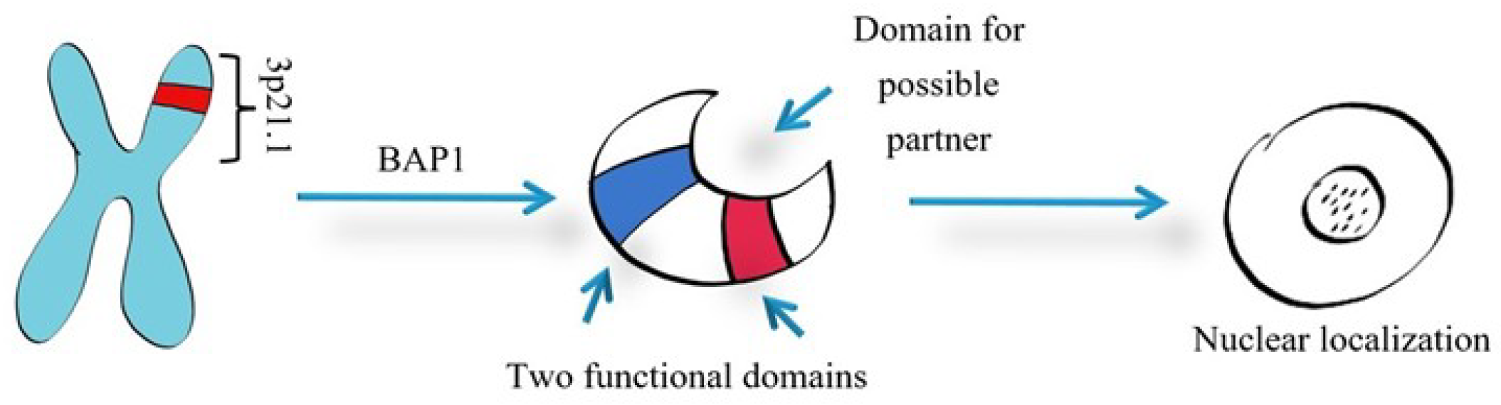 Diagnostics 15 01323 g002