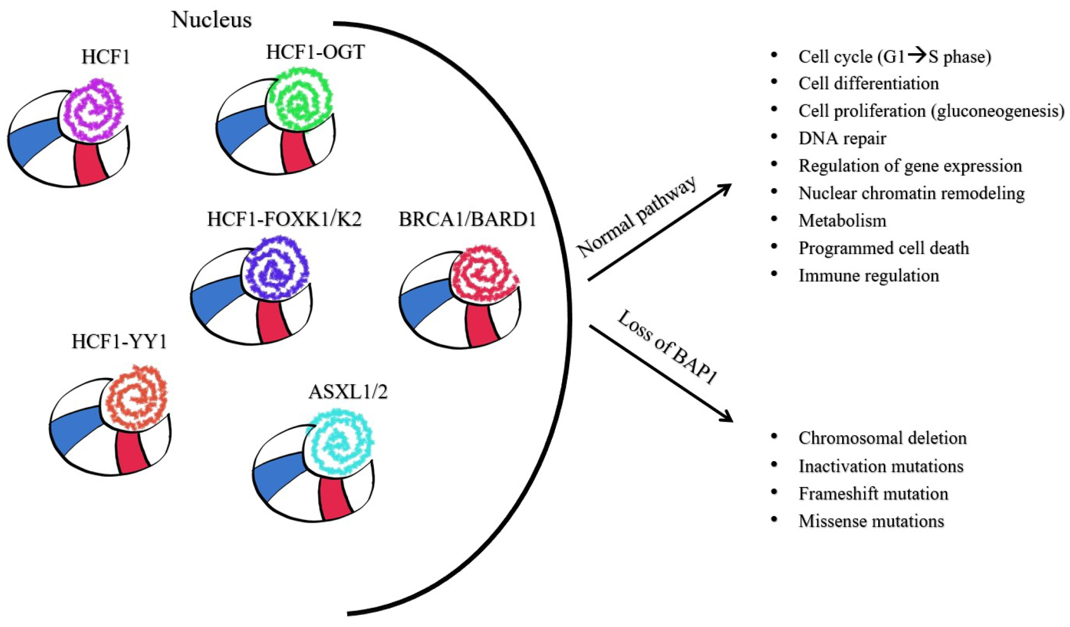 Diagnostics 15 01323 g003
