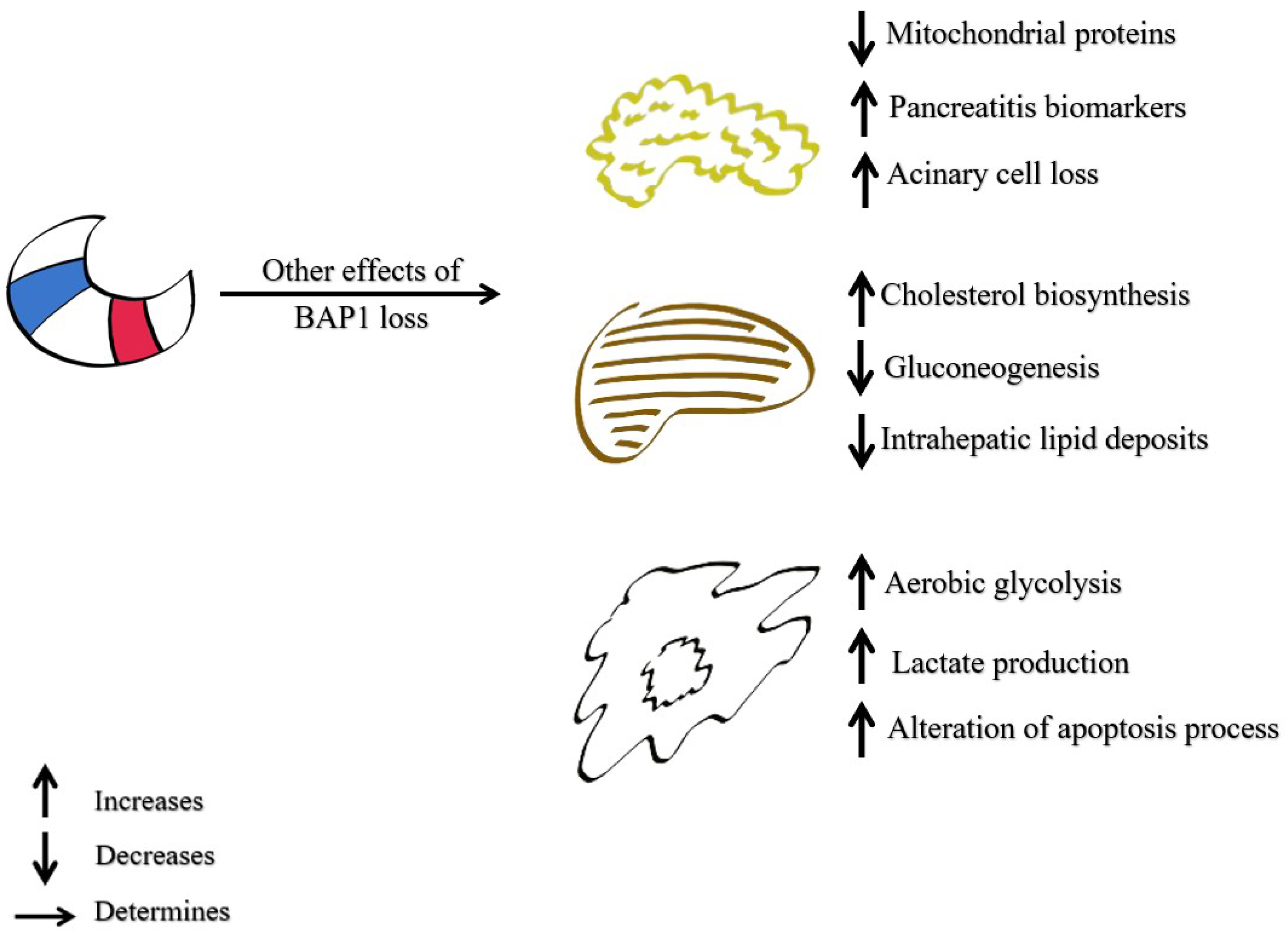 Diagnostics 15 01323 g004