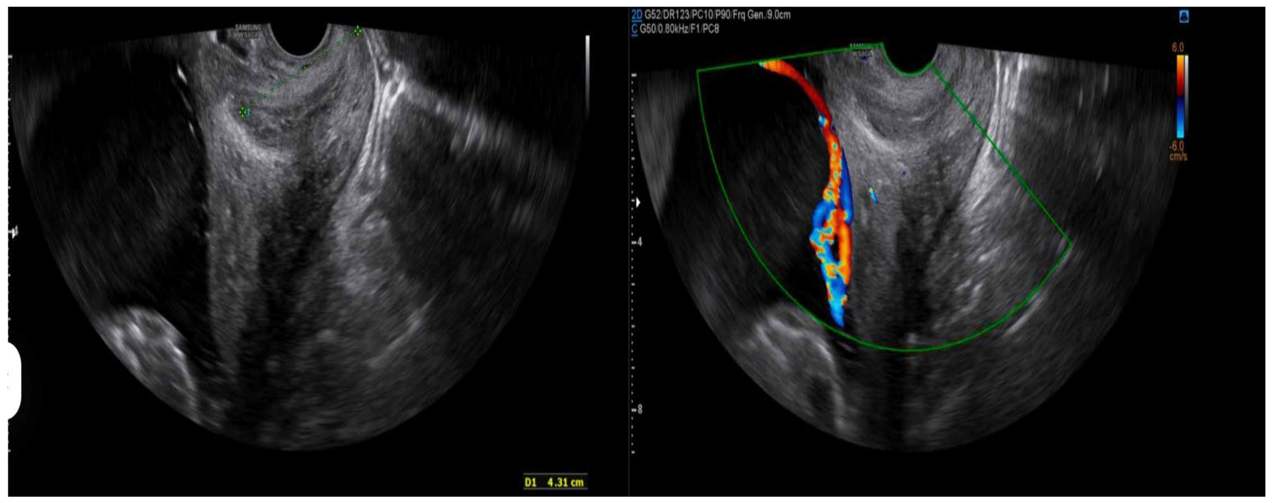 Diagnostics 15 01329 g002