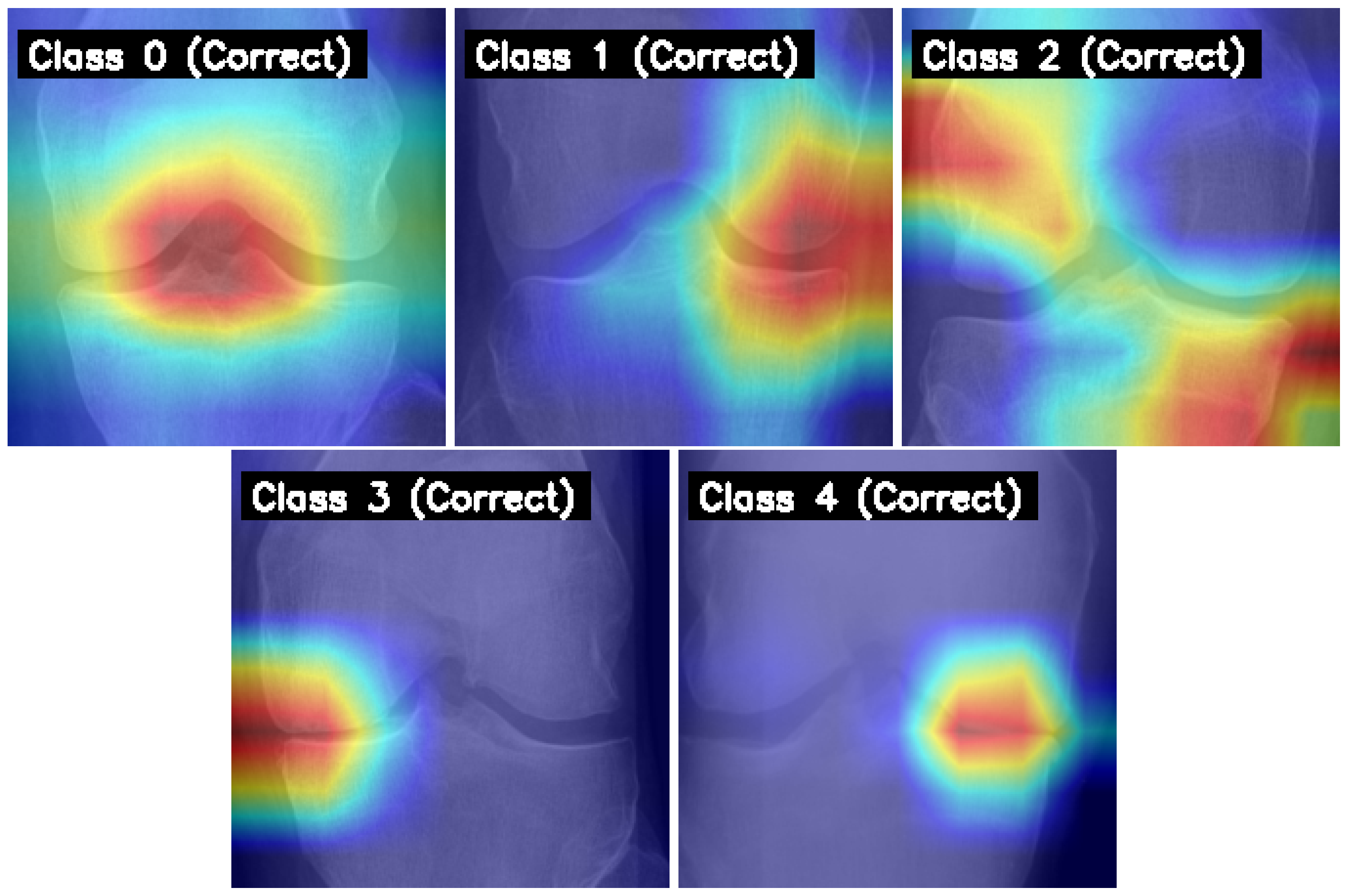 Diagnostics 15 01332 g011