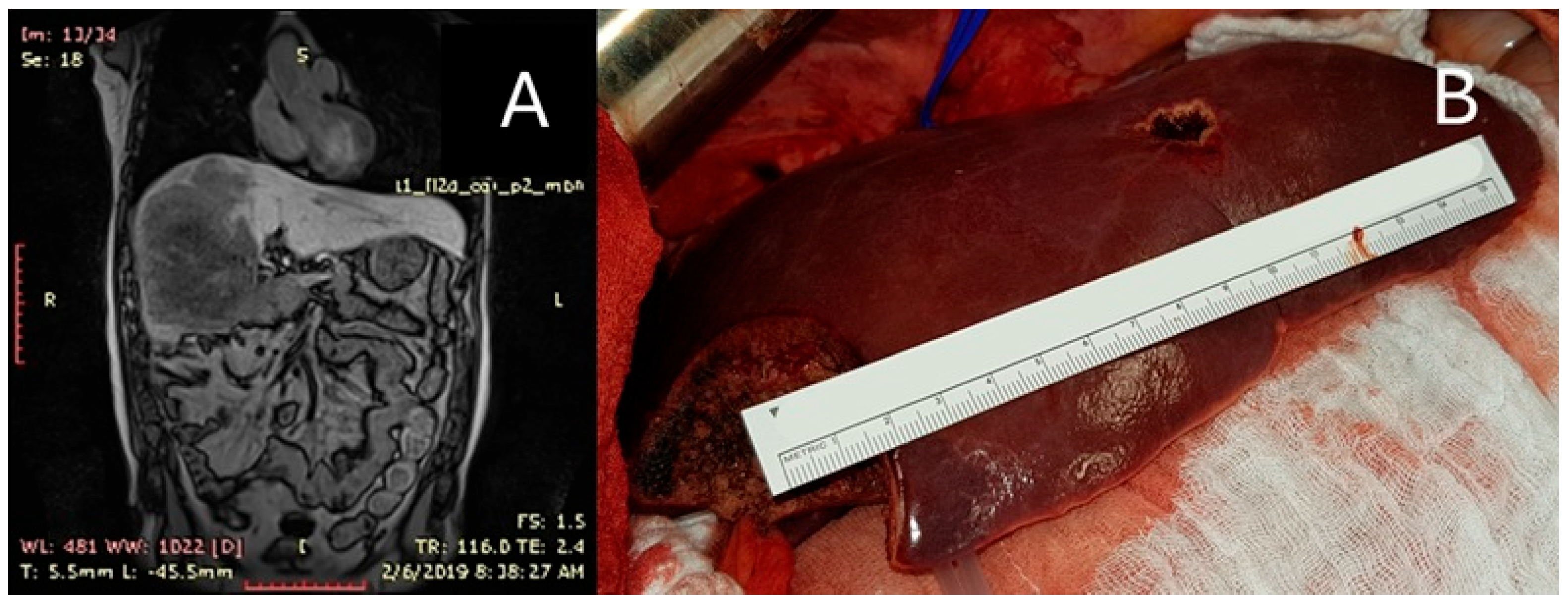 Diagnostics 15 01334 g006