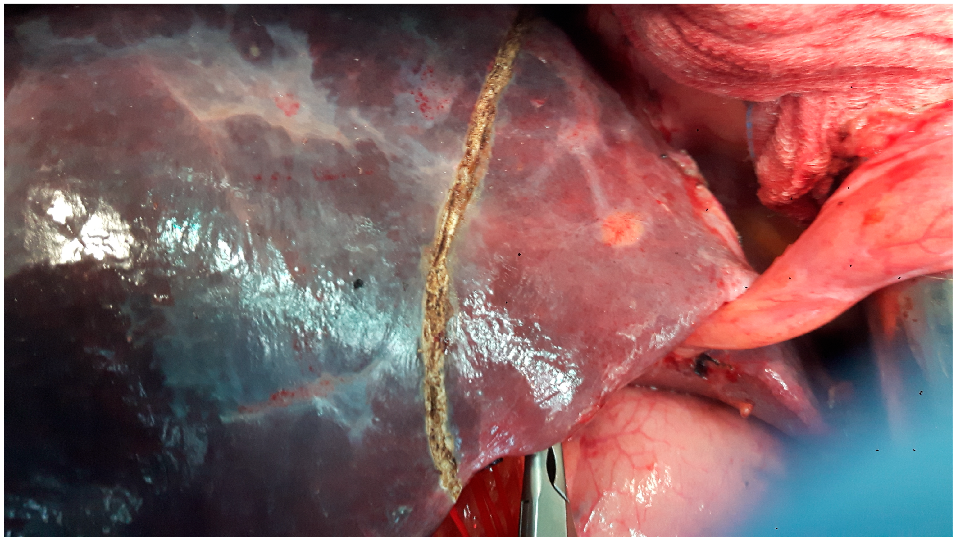 Diagnostics 15 01334 g007