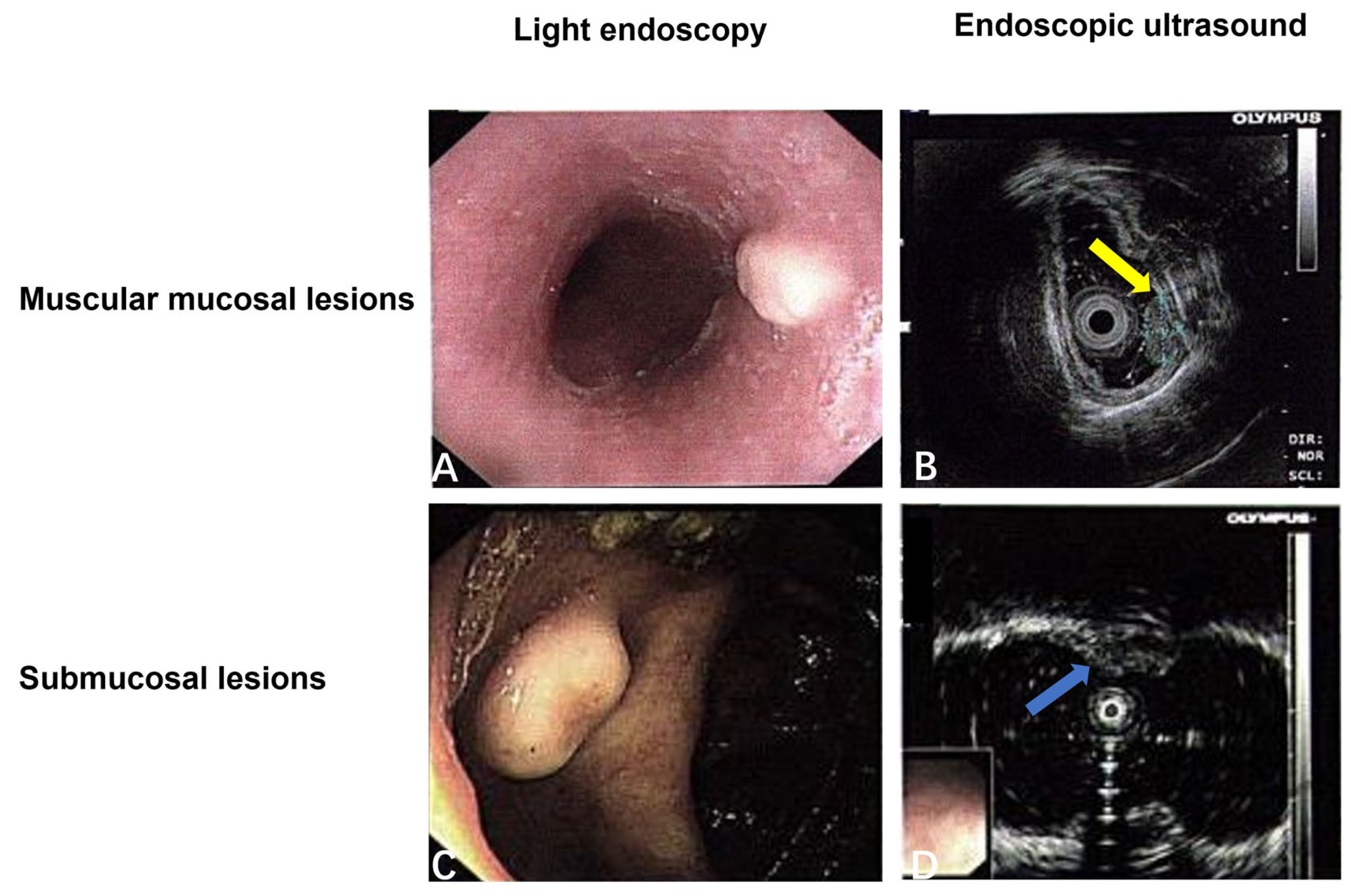 Diagnostics 15 01336 g002