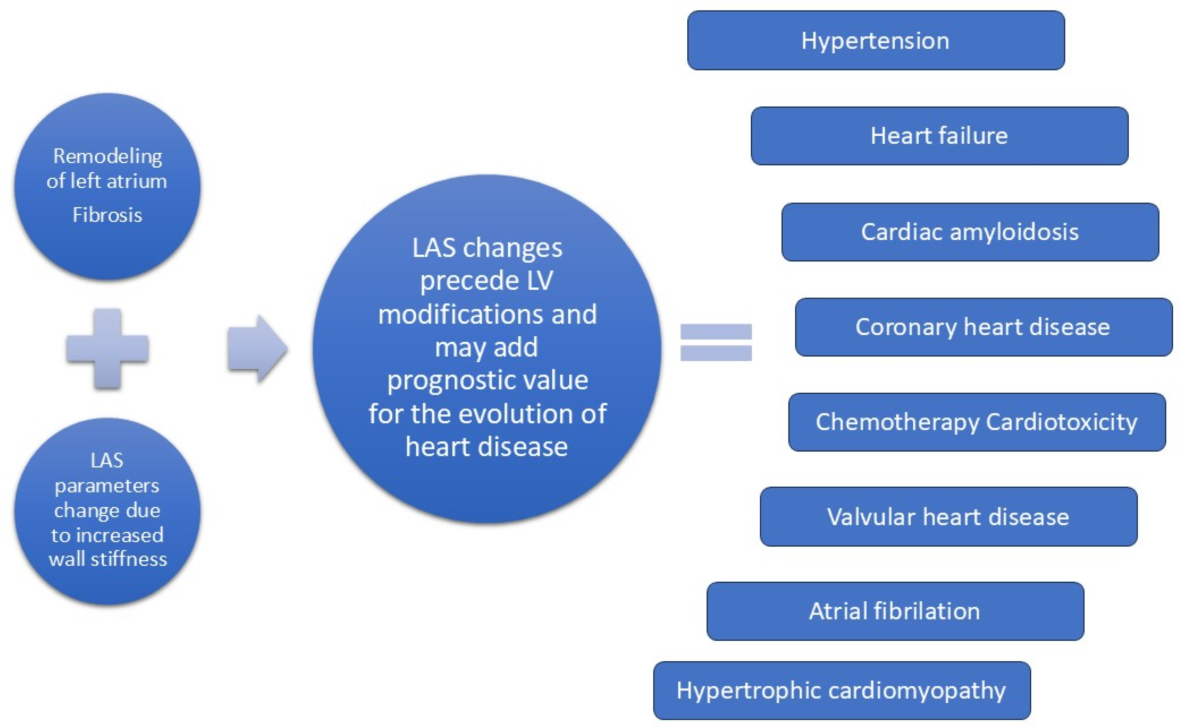 Diagnostics 15 01347 g001